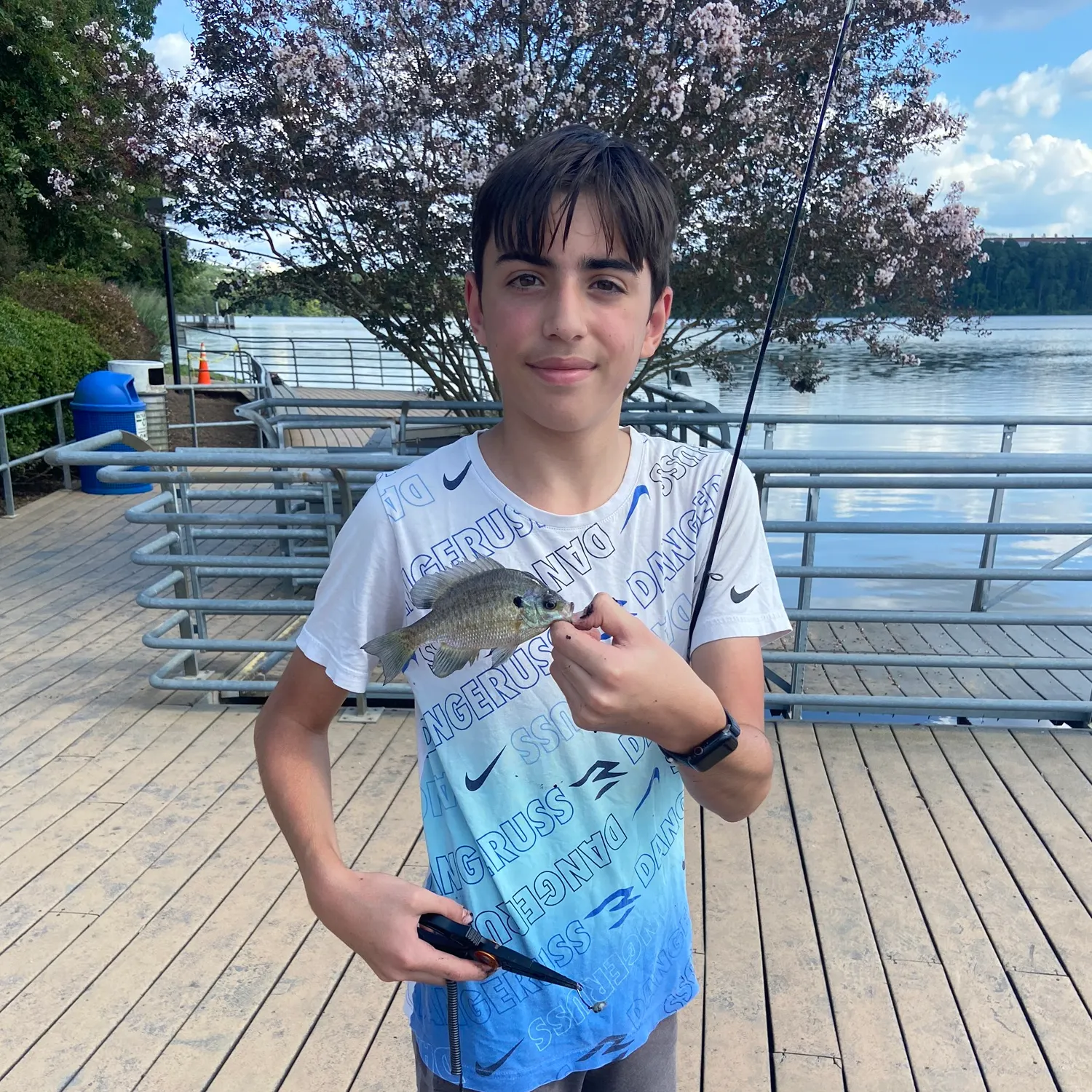 recently logged catches