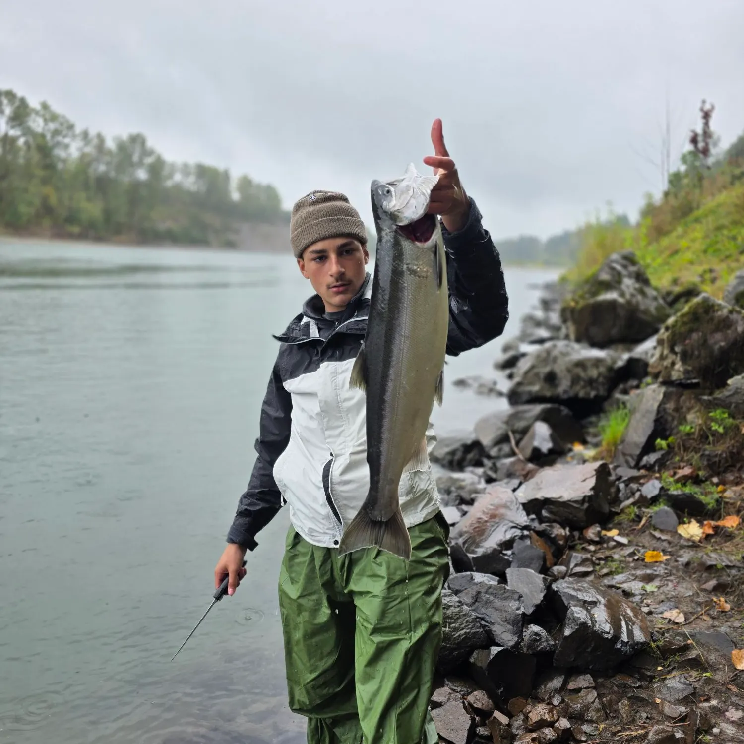 The most recent Coho salmon catches on Fishbrain