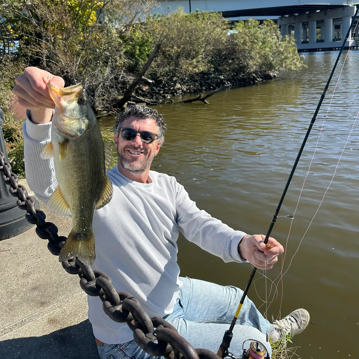 Largemouth bass caught on Fishbrain