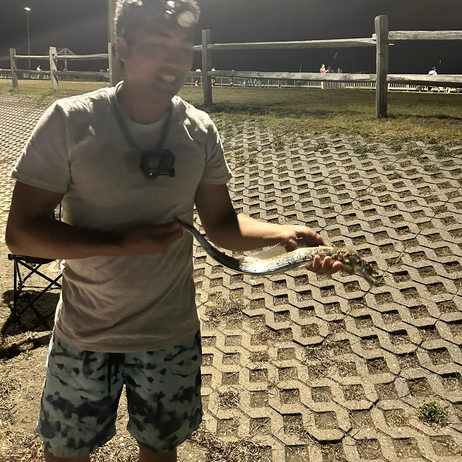 The most recent Atlantic cutlassfish catches on Fishbrain