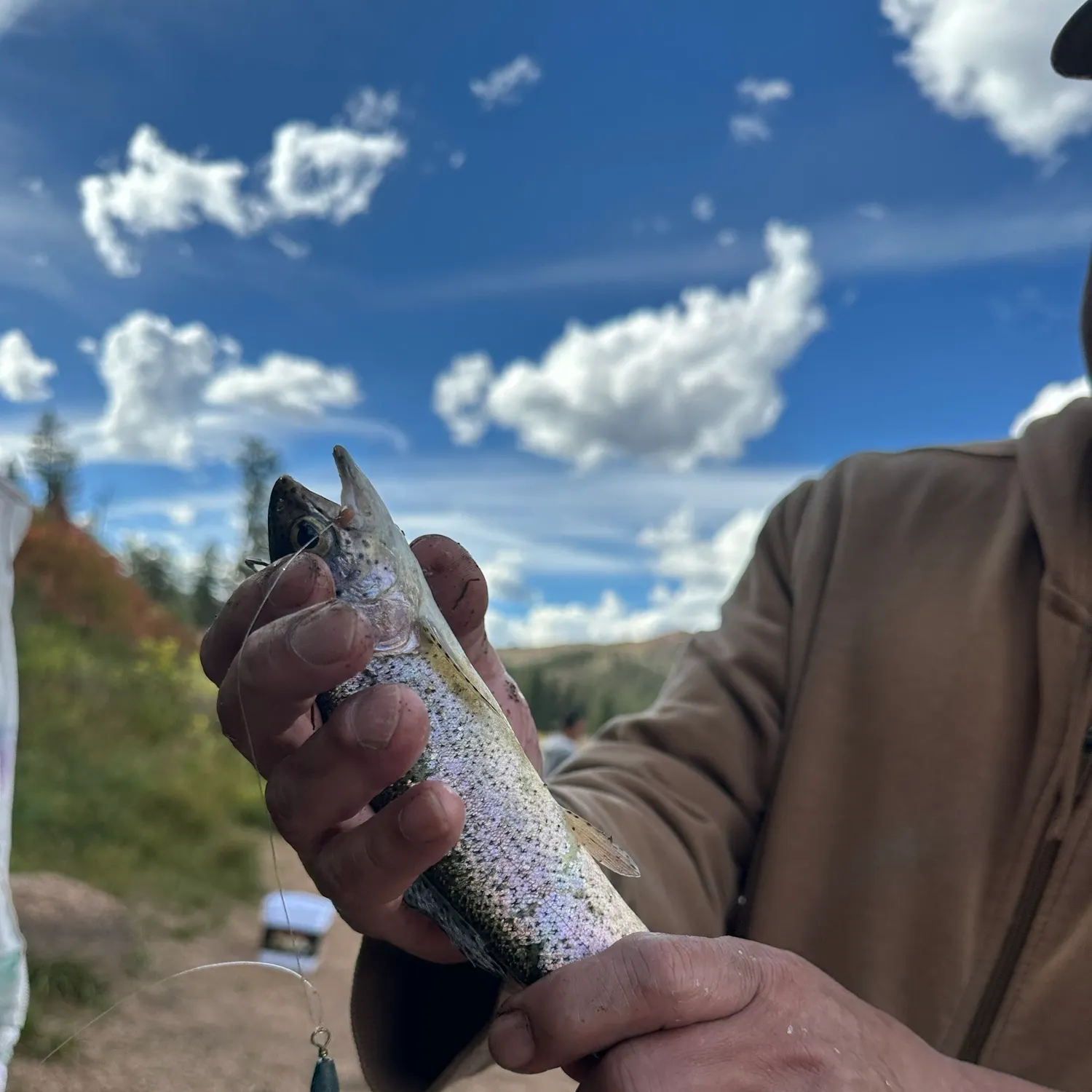 Cutbow caught on Fishbrain
