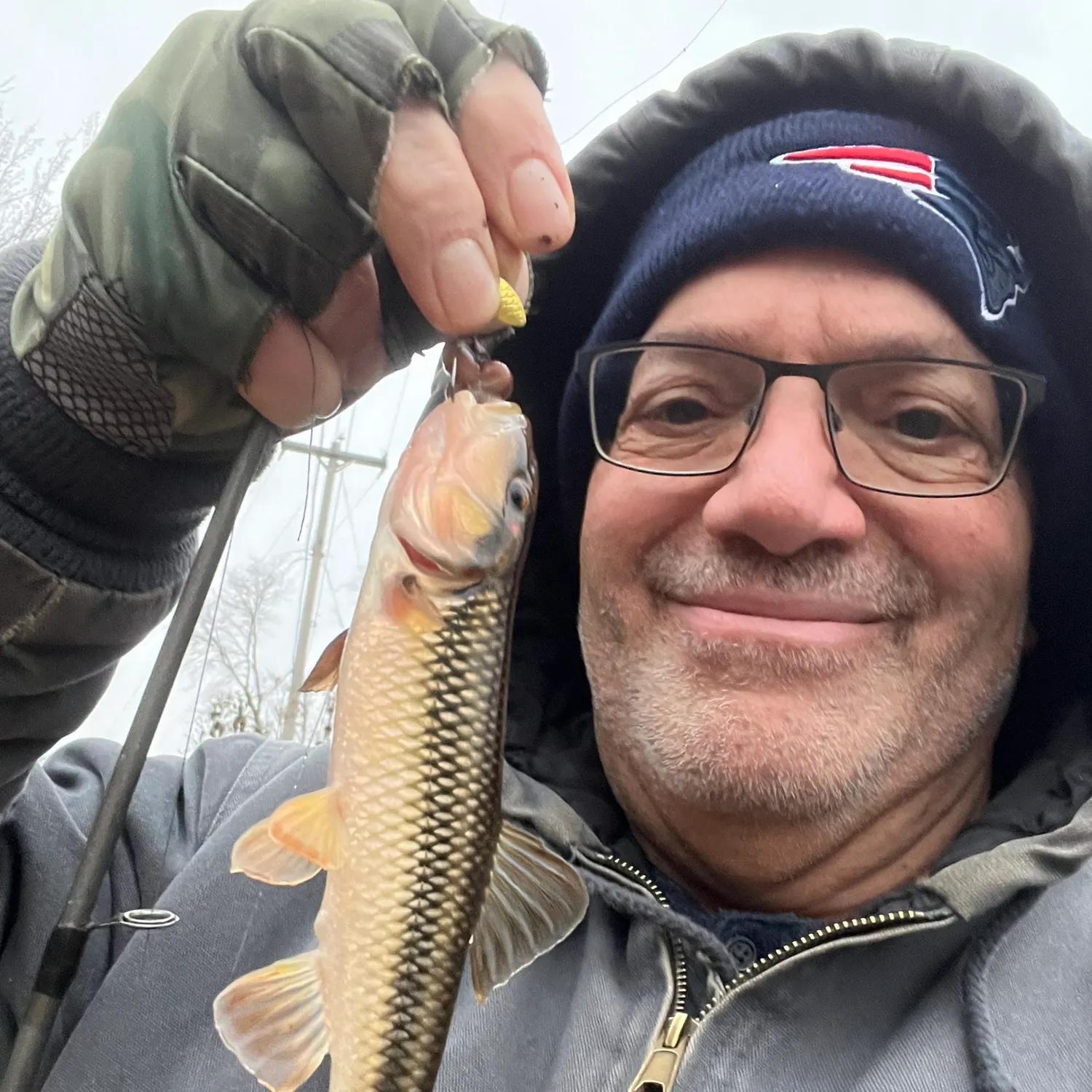 The most recent Hornyhead chub catches on Fishbrain