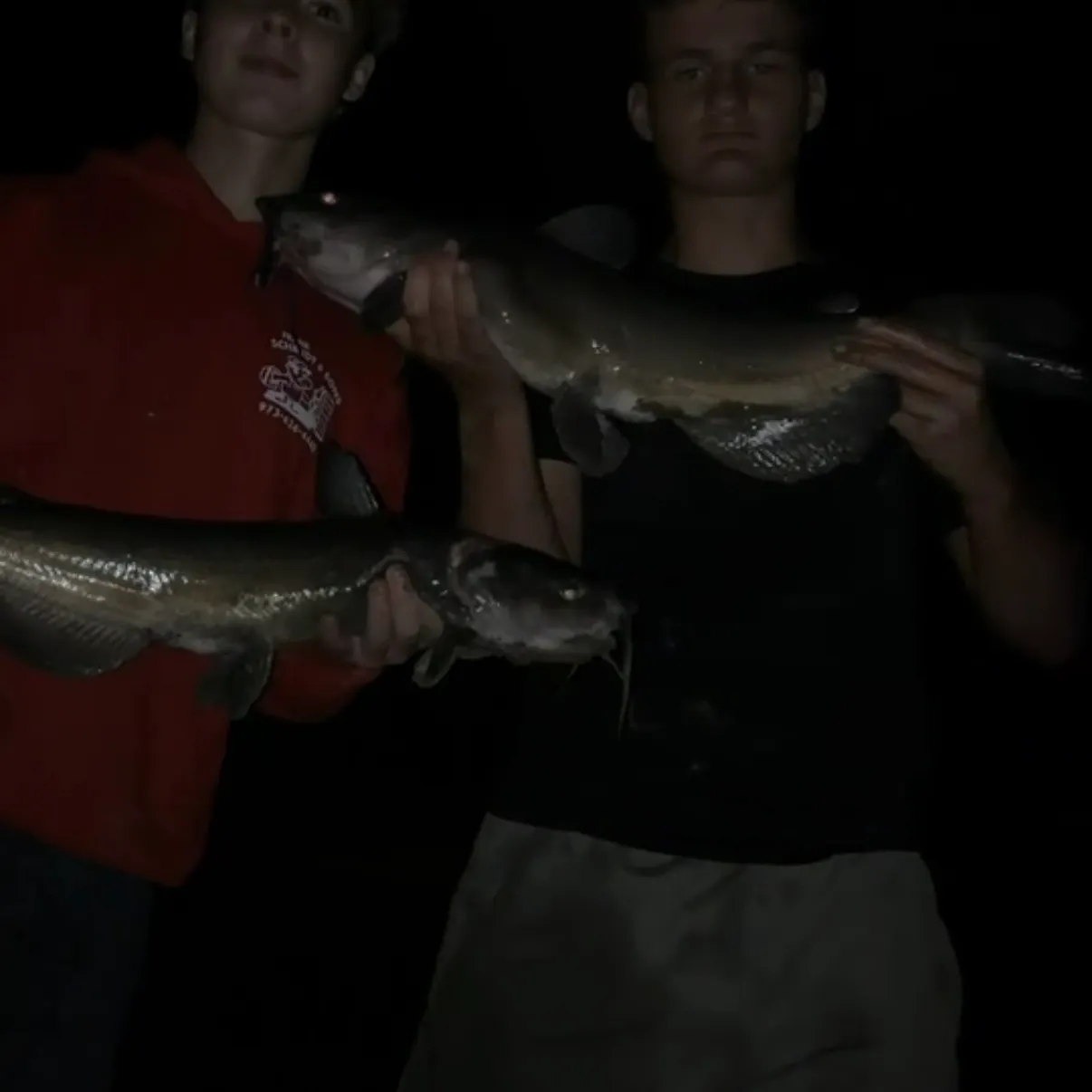 Channel catfish caught on Fishbrain