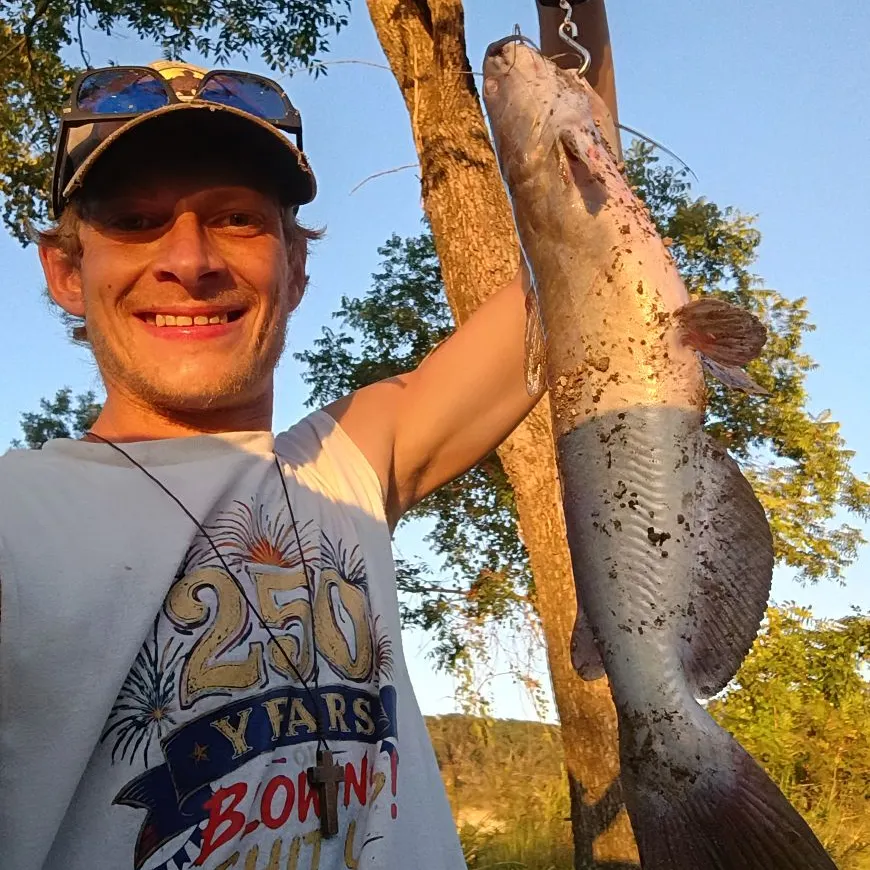 Channel catfish caught on Fishbrain
