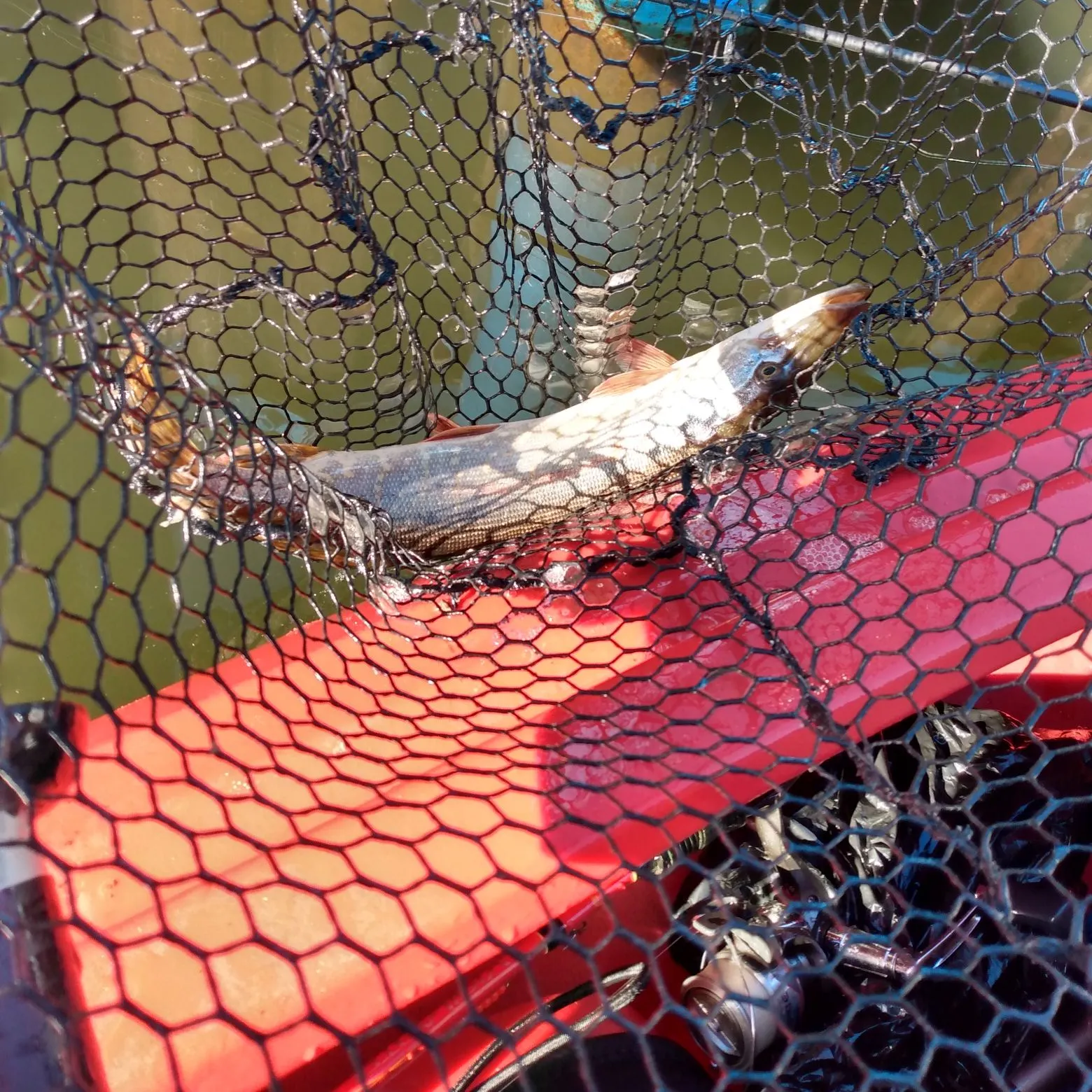 catch