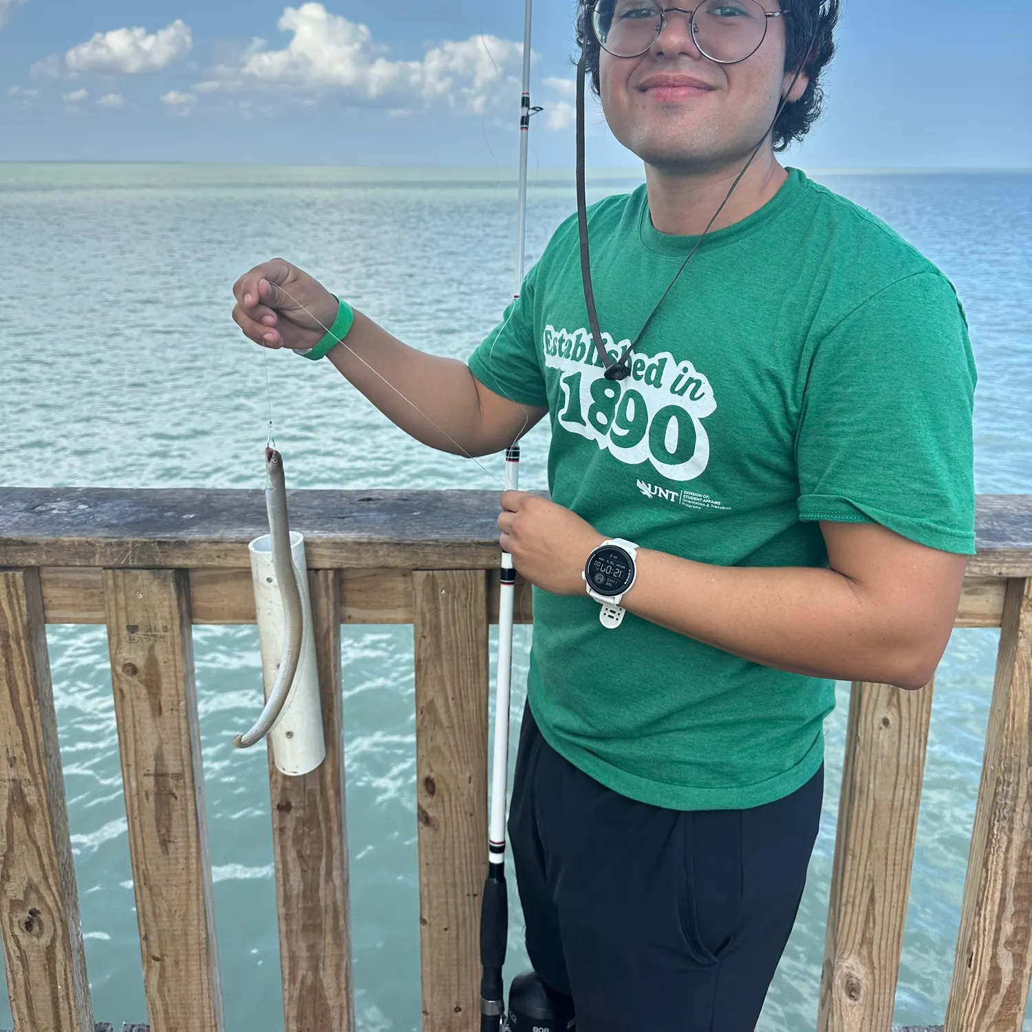 The most recent Shrimp eel catches on Fishbrain