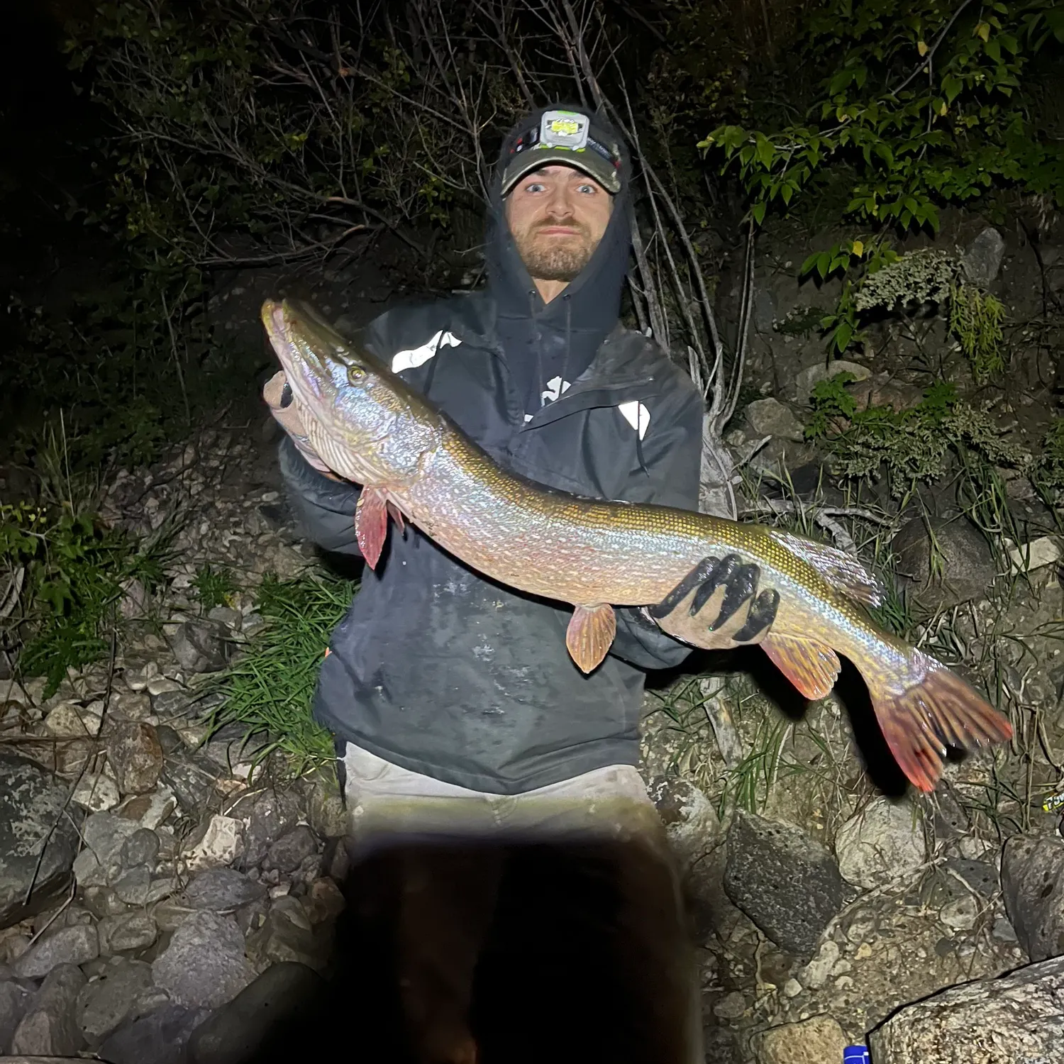 Northern pike caught on Fishbrain