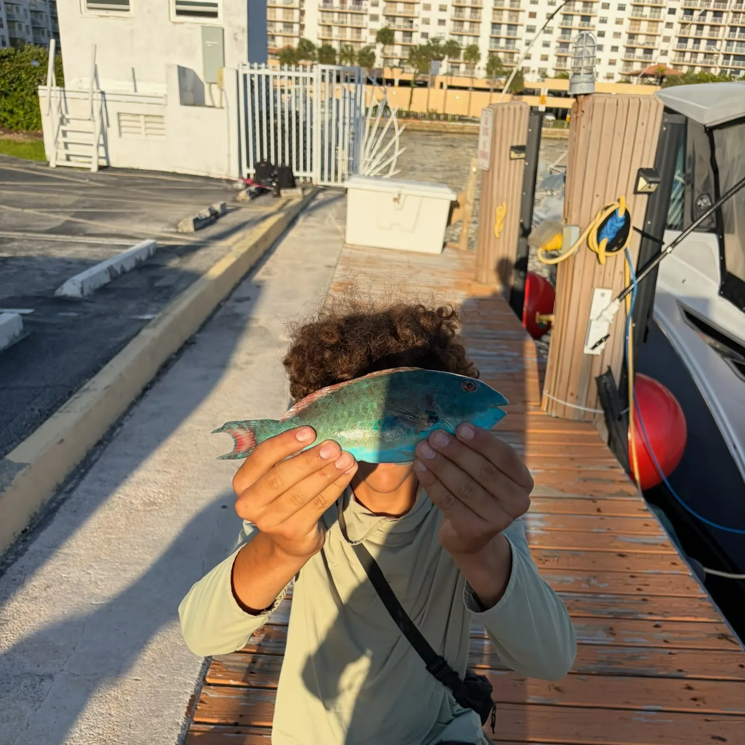 The most recent Blue-barred parrotfish catches on Fishbrain