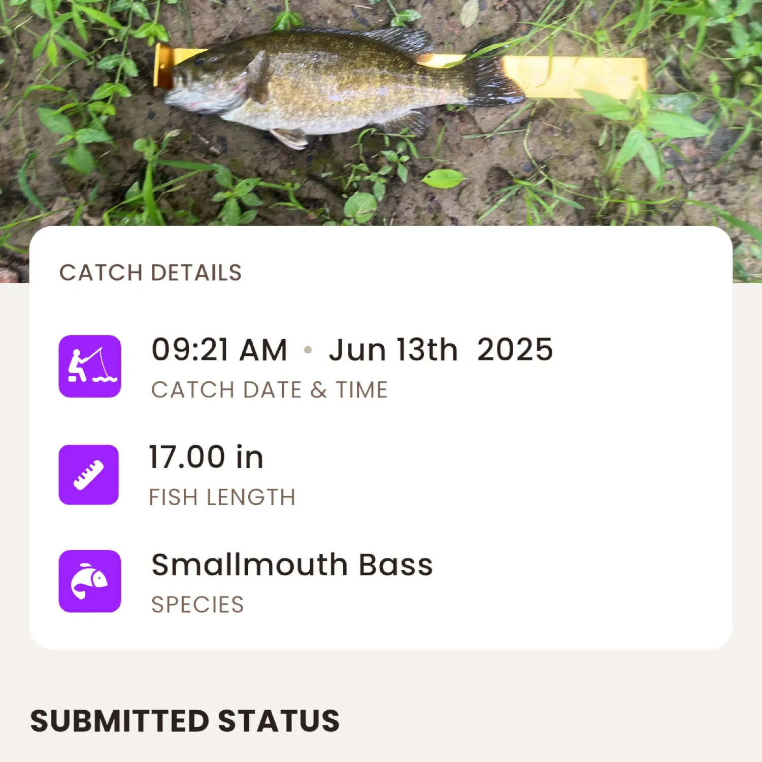recently logged catches