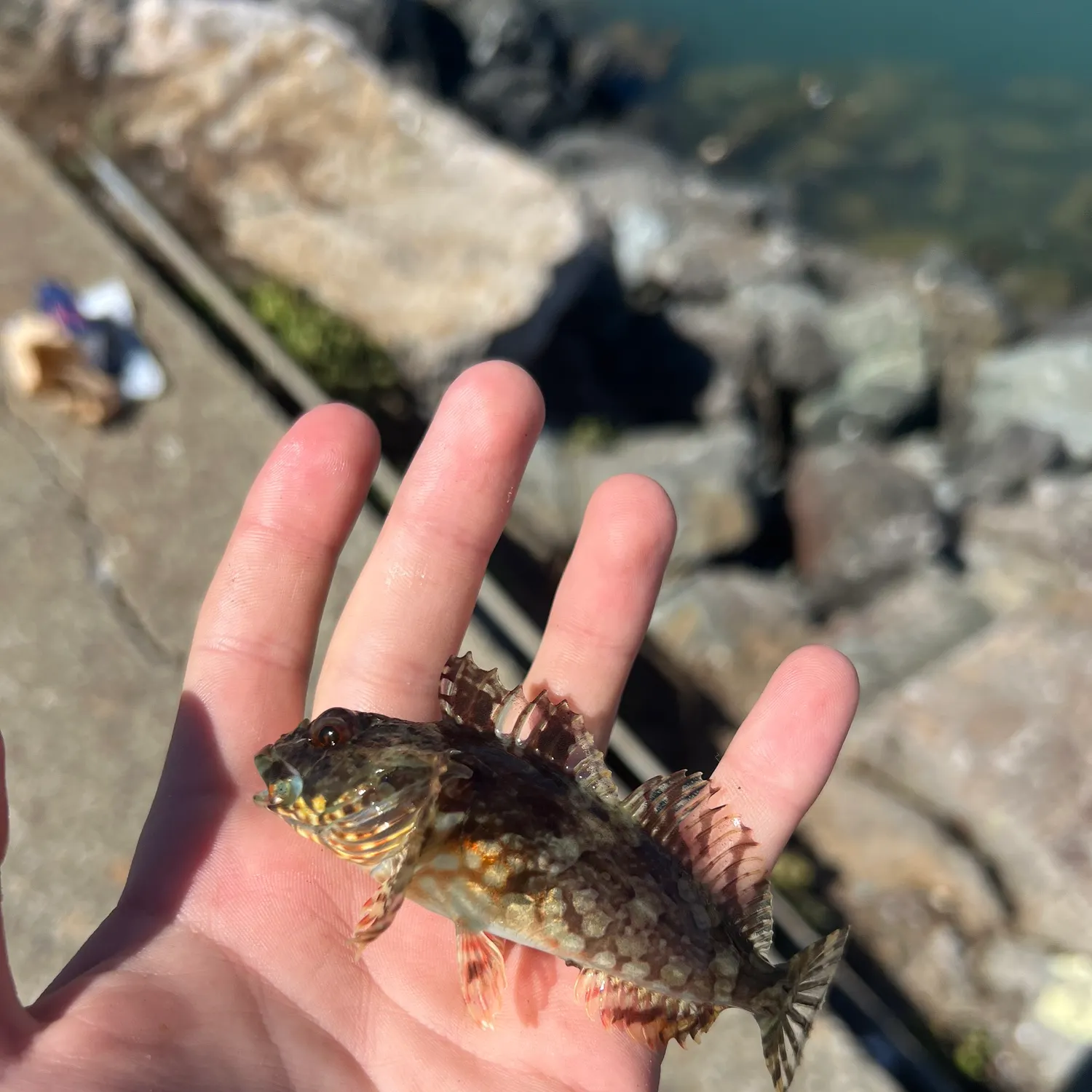 catch
