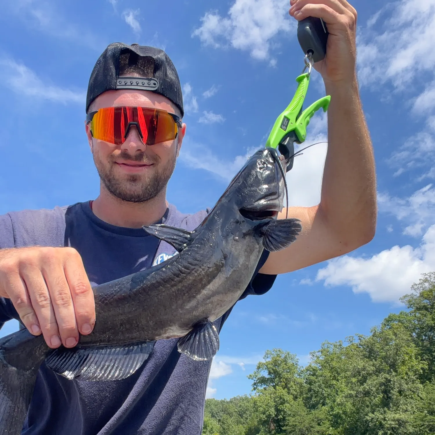 Channel catfish caught on Fishbrain