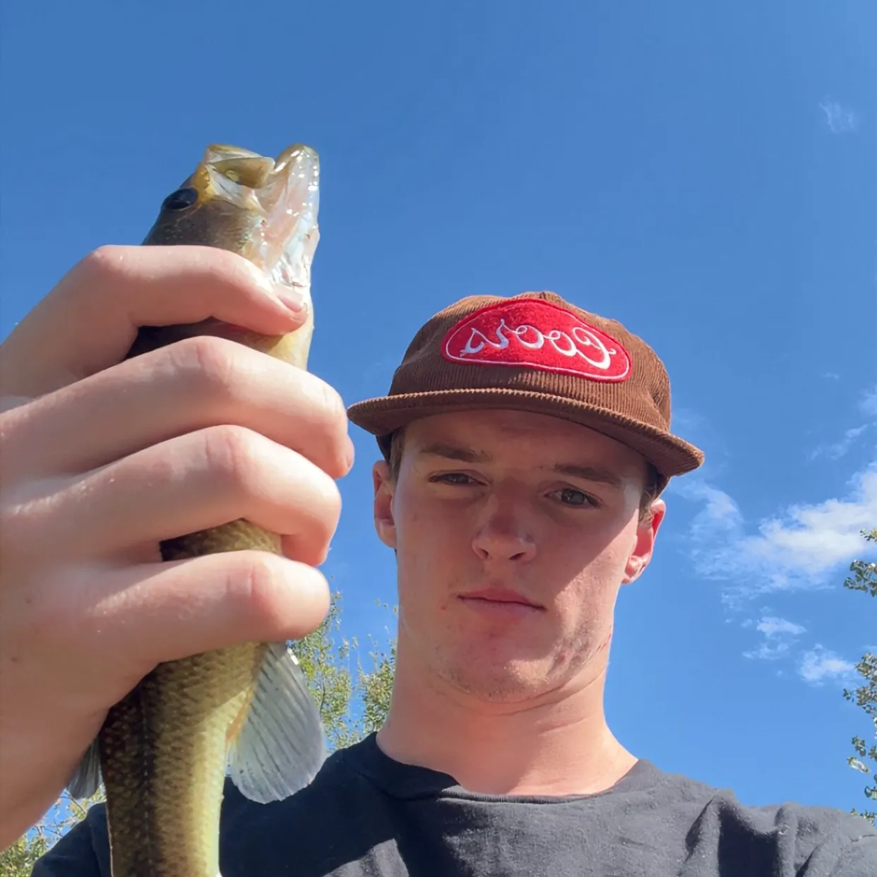 Smallmouth bass caught on Fishbrain