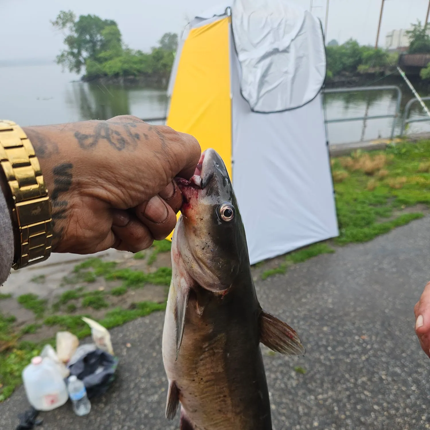 catch