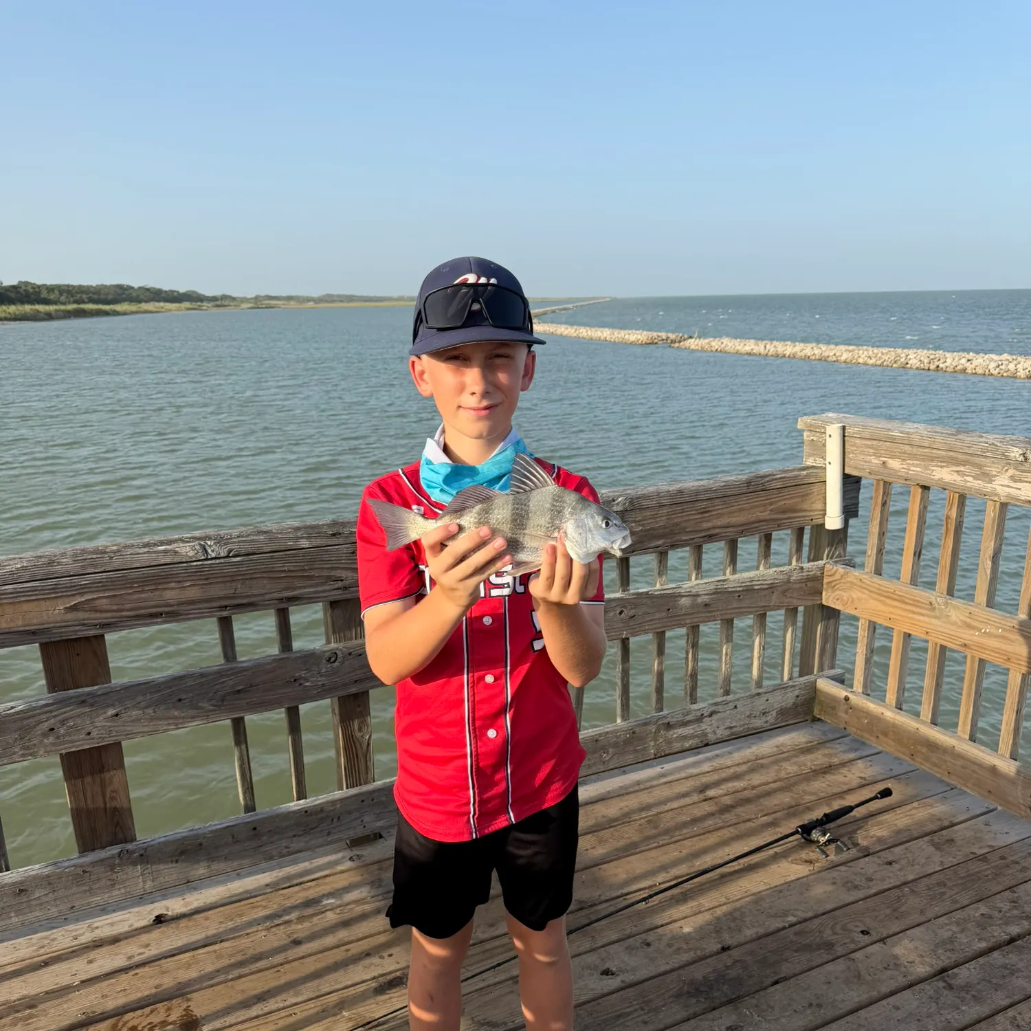 Black drum caught on Fishbrain