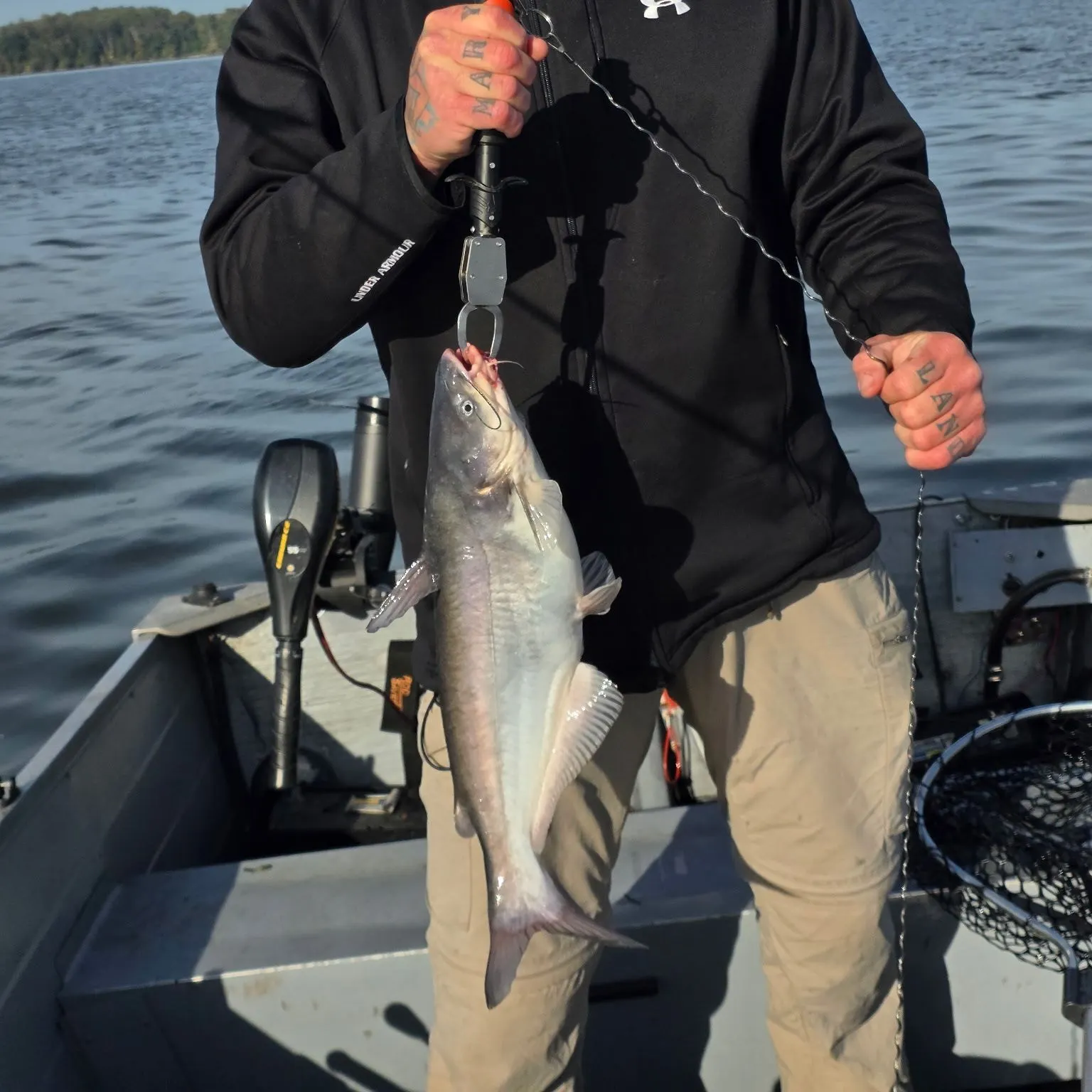 Blue catfish caught on Fishbrain