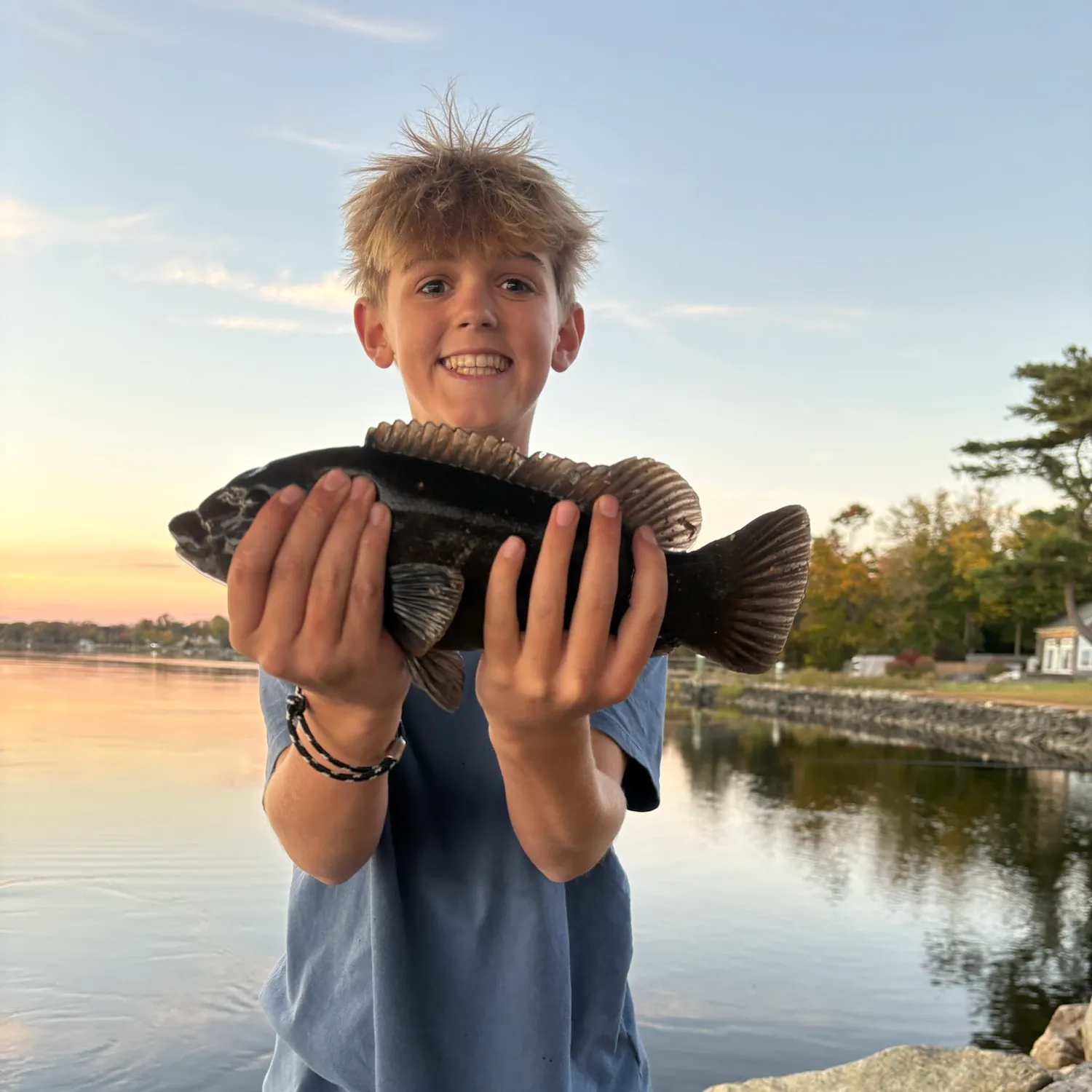 Tautog caught on Fishbrain