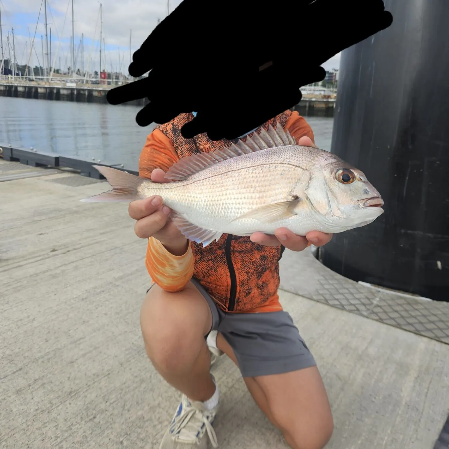 The most recent Australasian snapper catches on Fishbrain