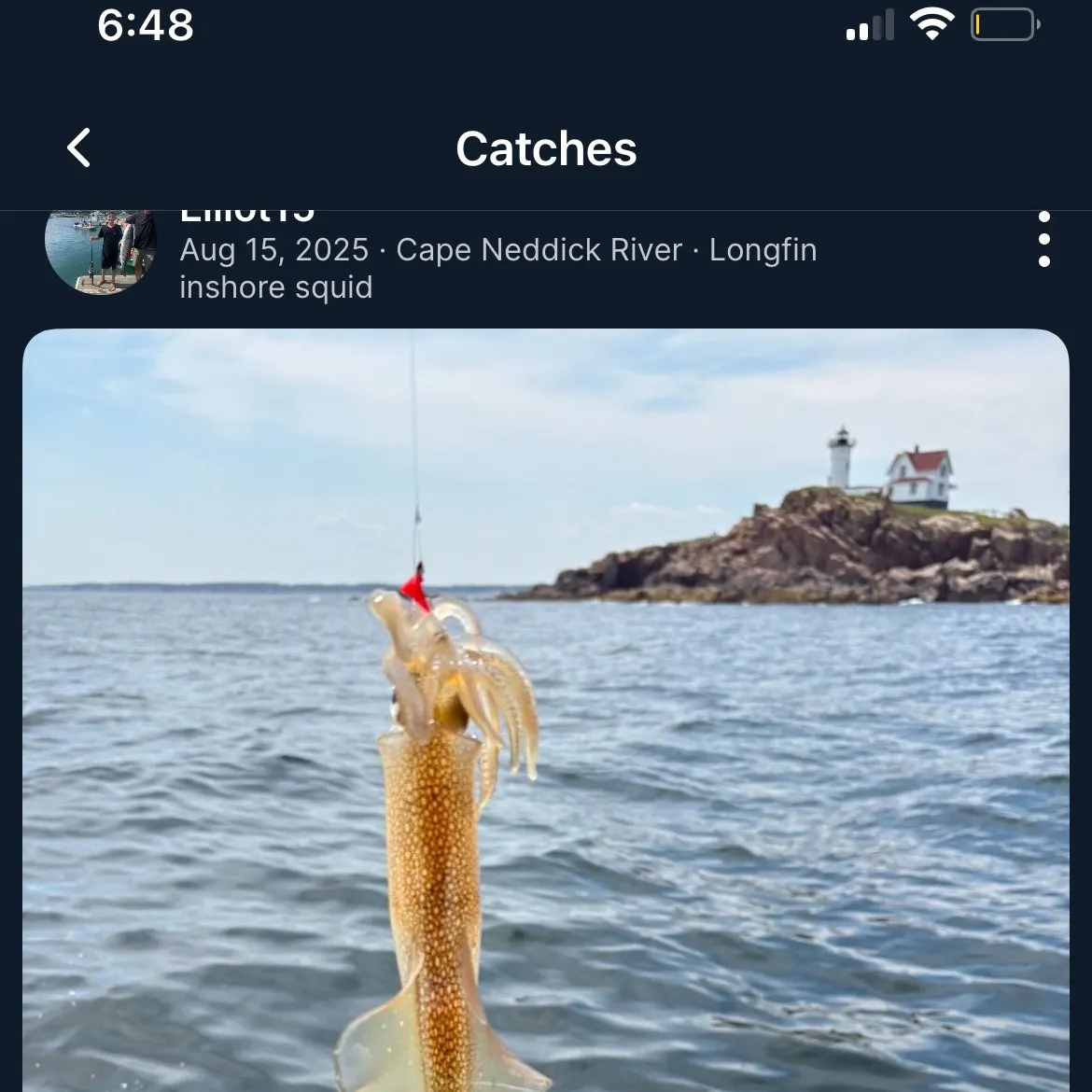 The most recent Gould's squid catches on Fishbrain