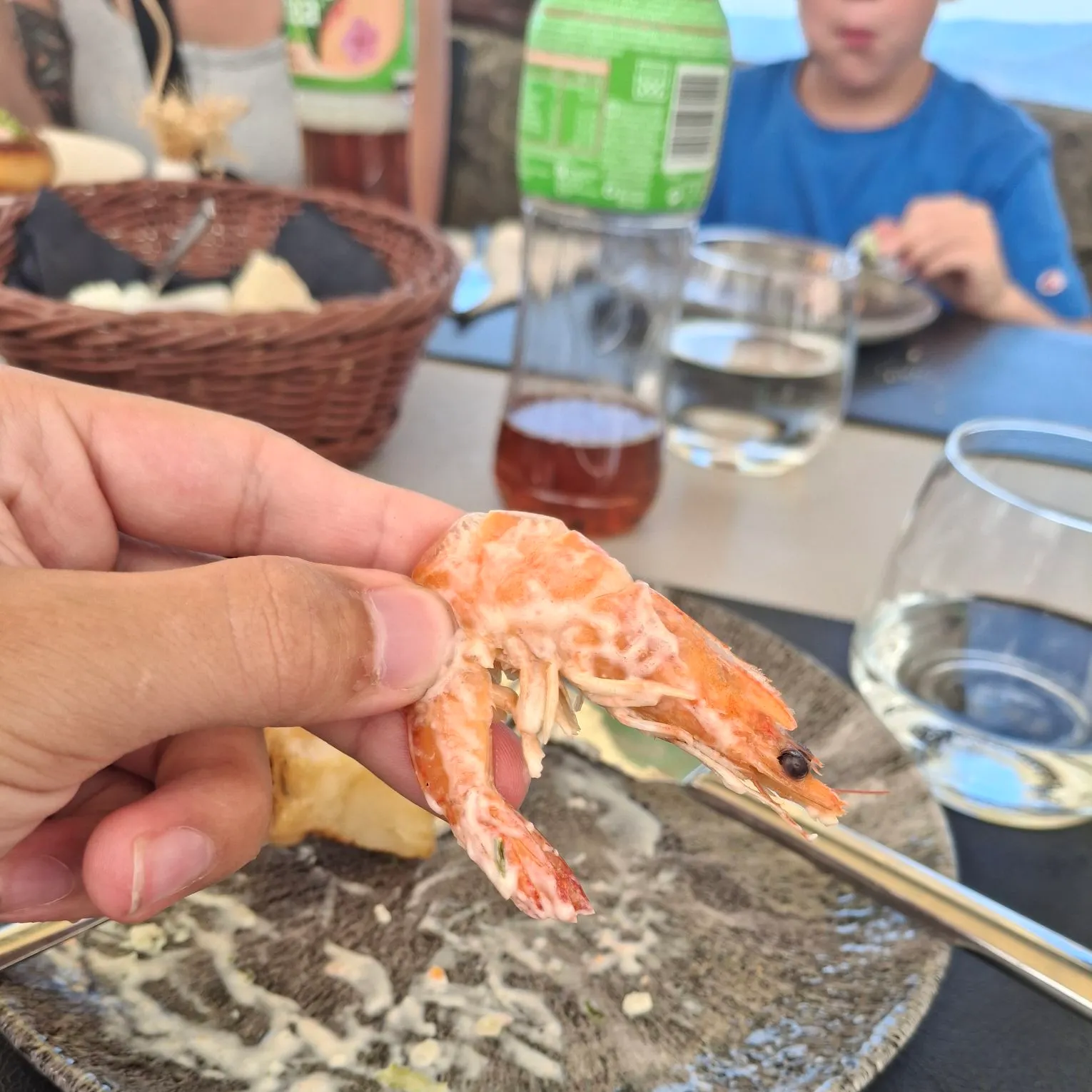 Fish caught on Fishbrain