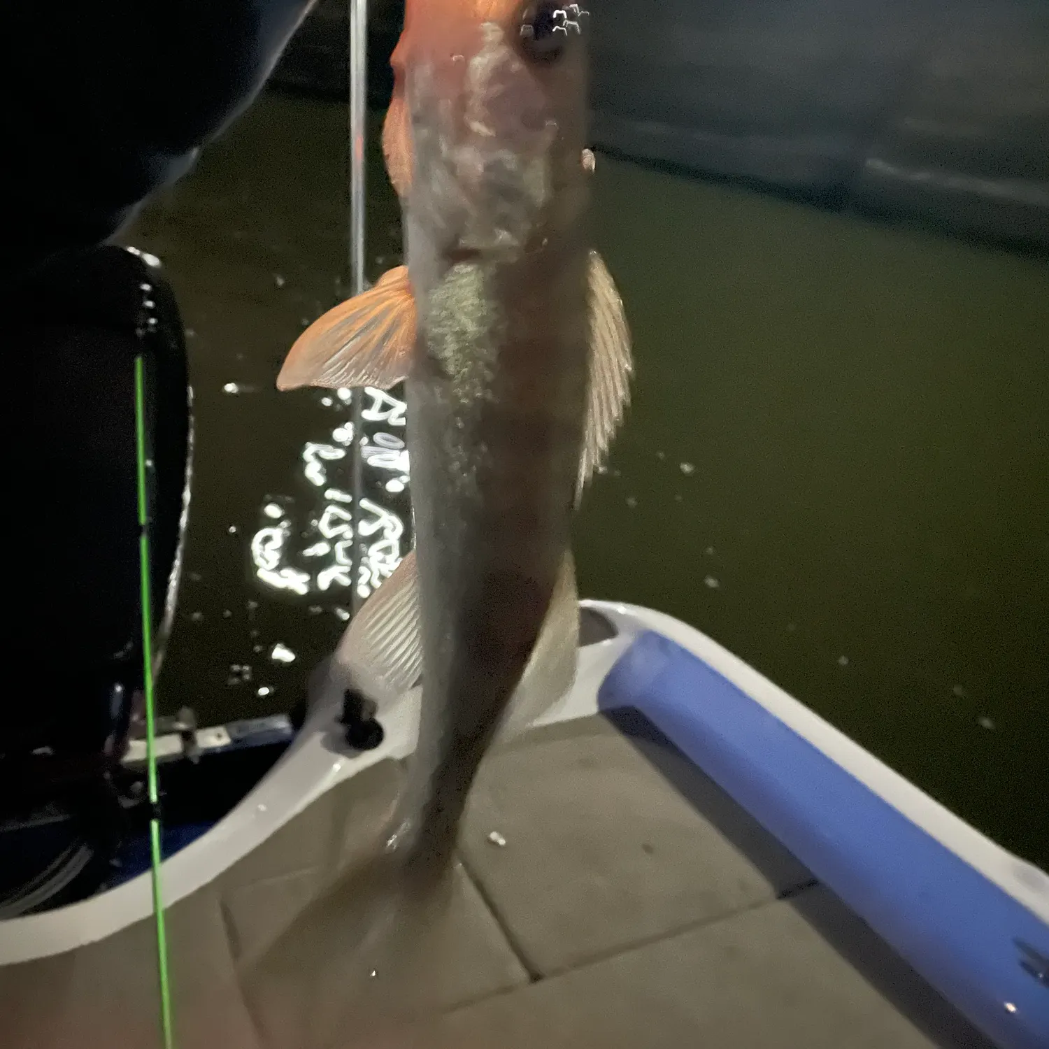 Walleye caught on Fishbrain