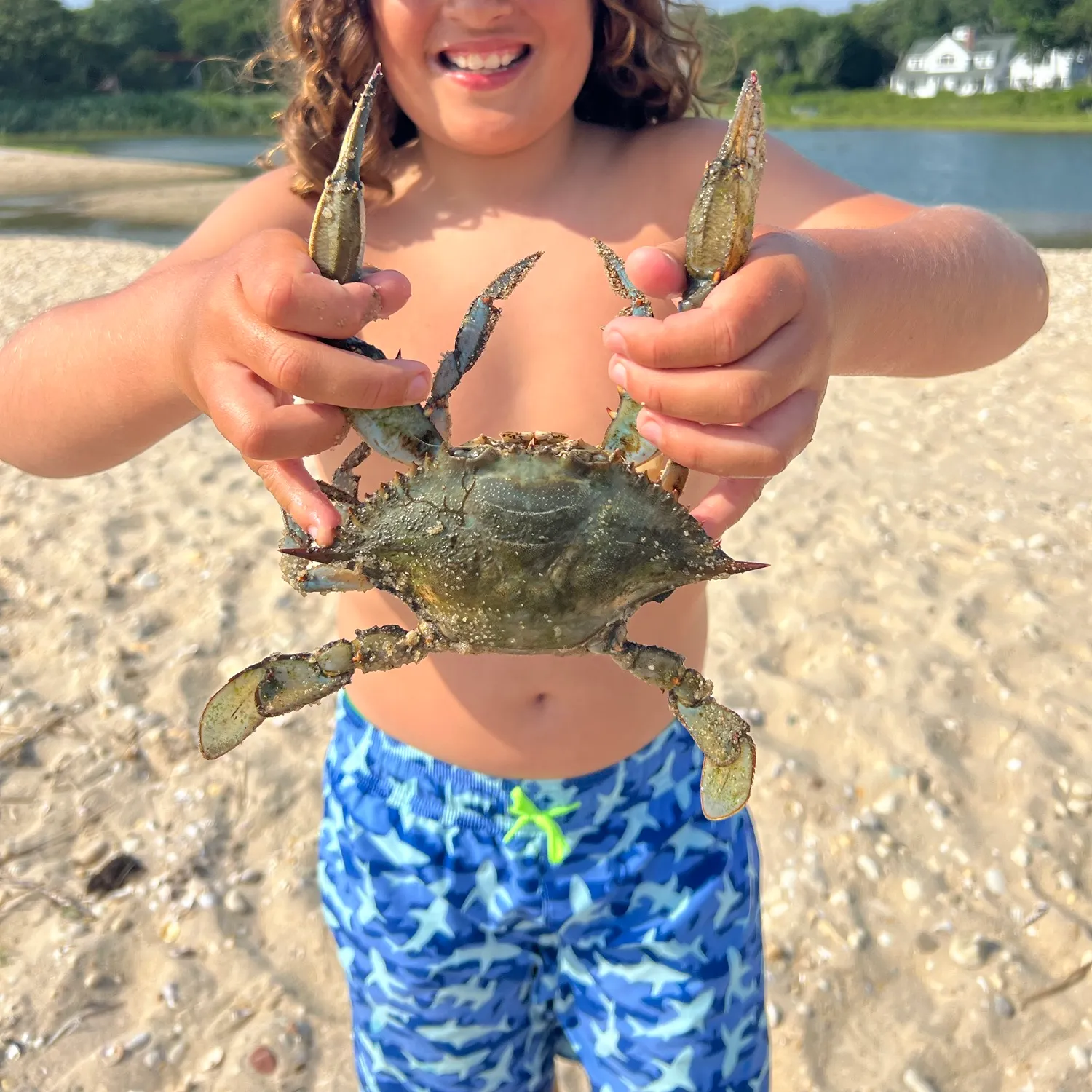 The most recent Blue crab catches on Fishbrain