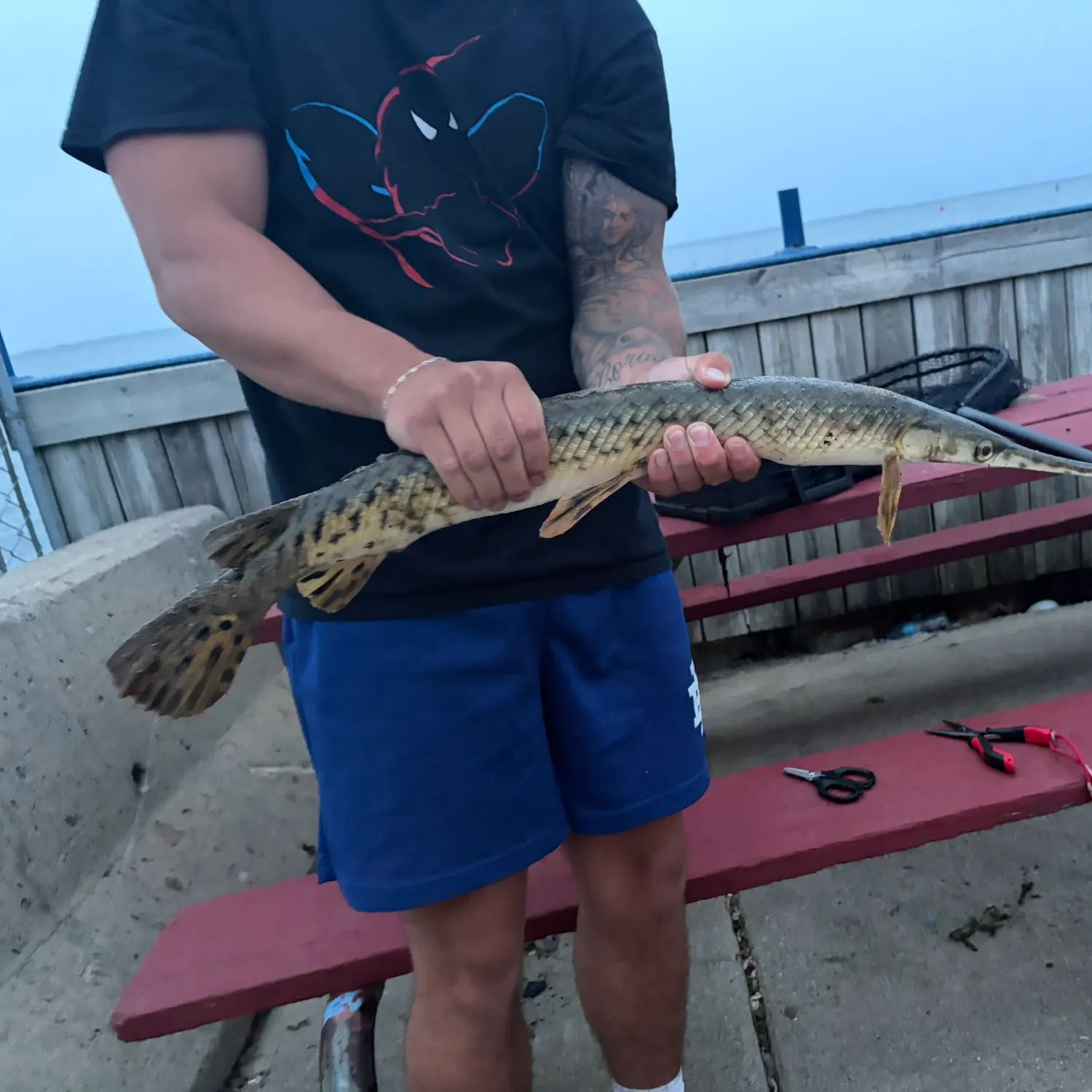 recently logged catches