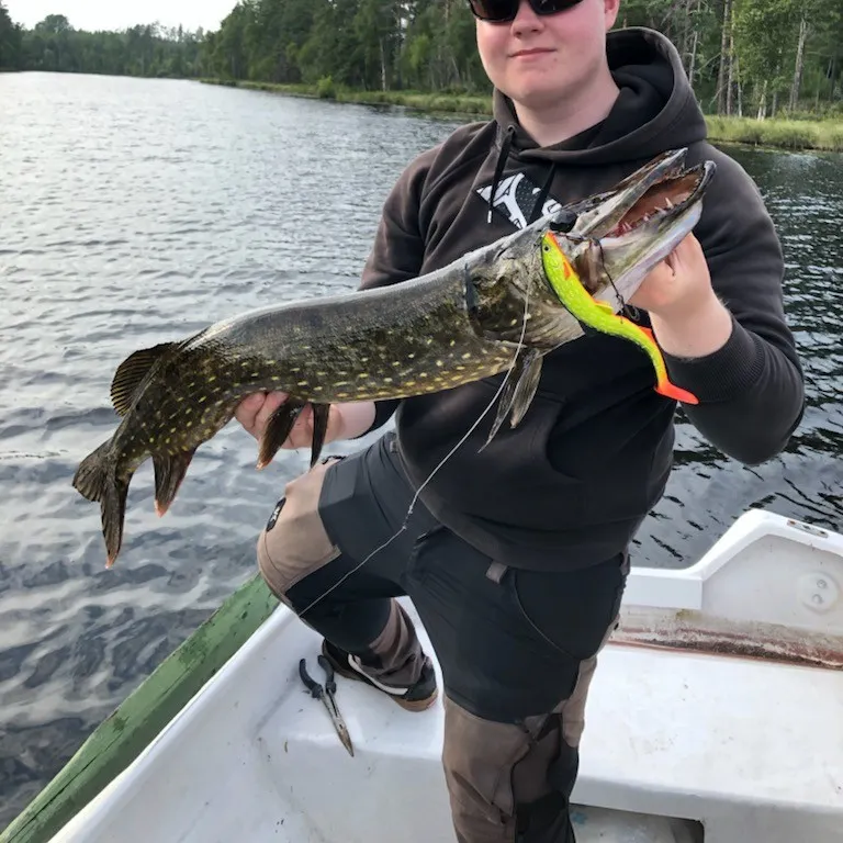 angler catch