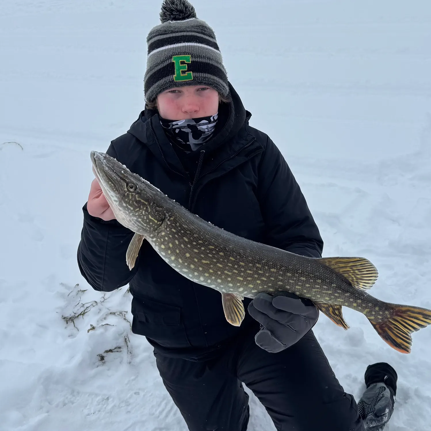 The most recent Northern pike catches on Fishbrain