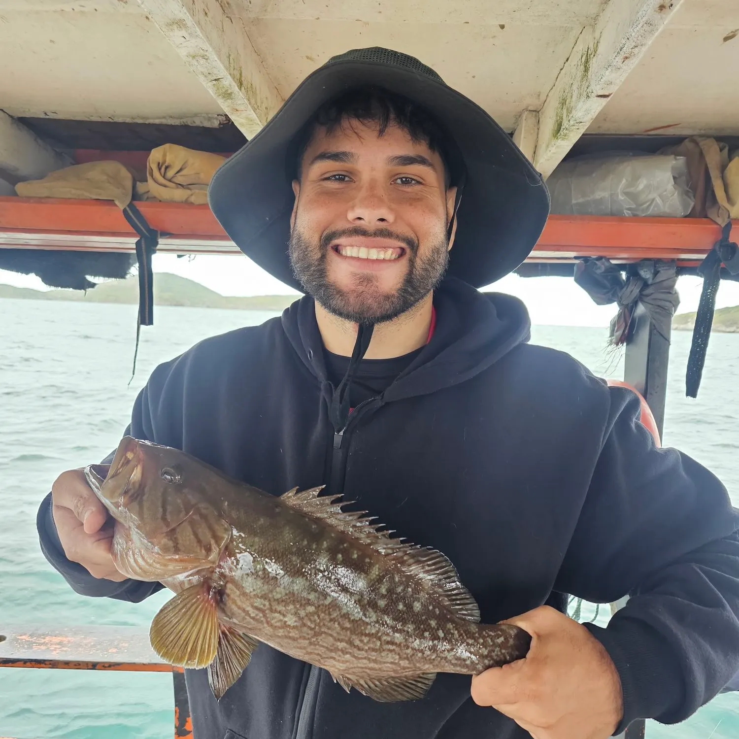 Yellowfin grouper caught on Fishbrain