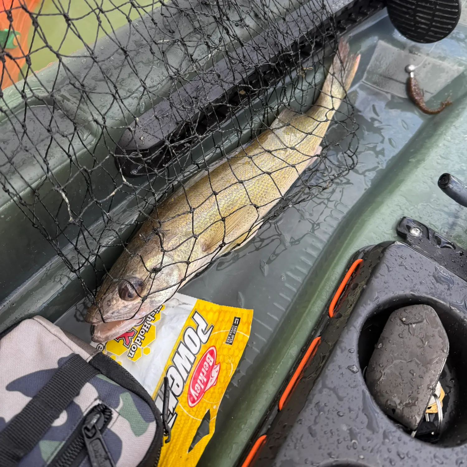The most recent Walleye catches on Fishbrain
