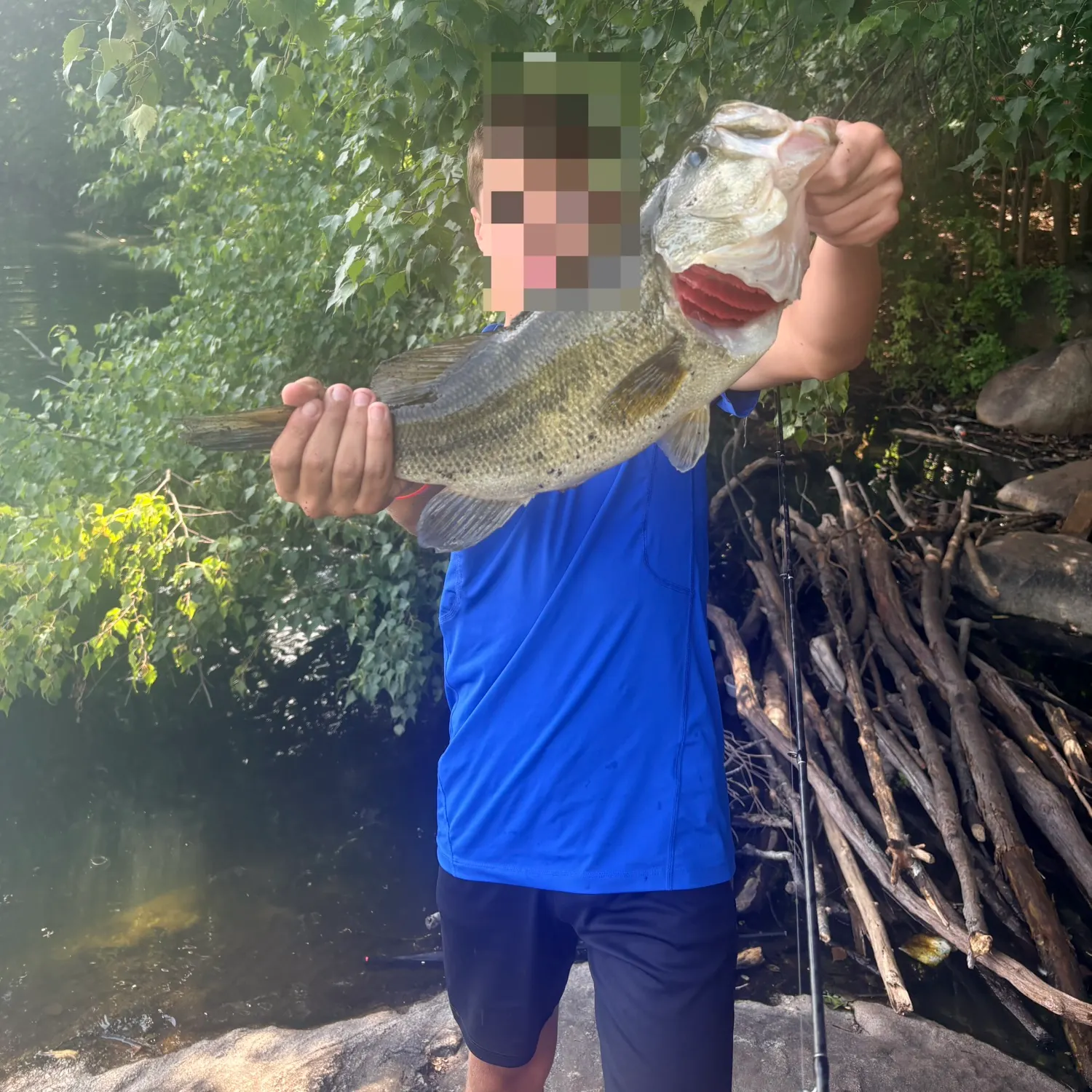 Largemouth bass caught on Fishbrain