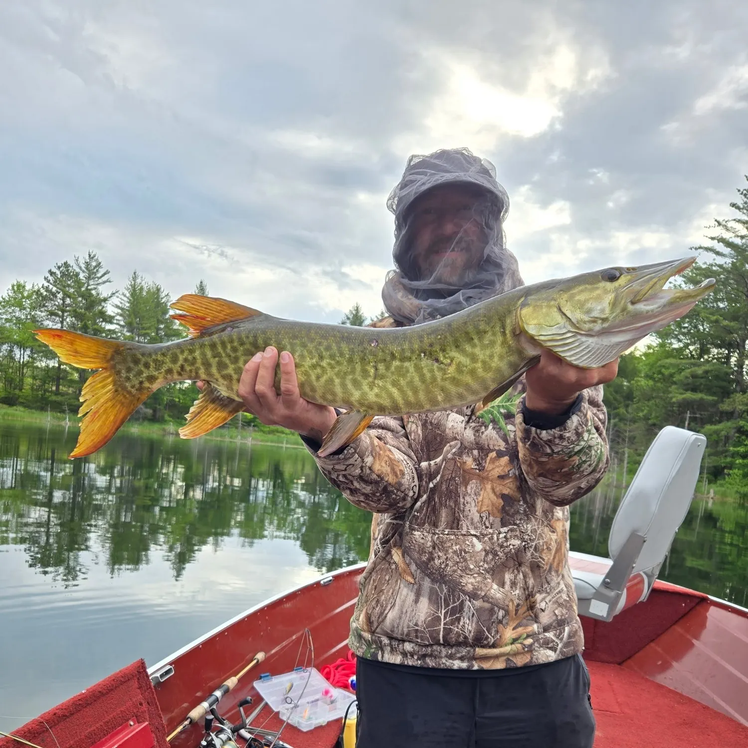 The most recent Muskellunge catches on Fishbrain