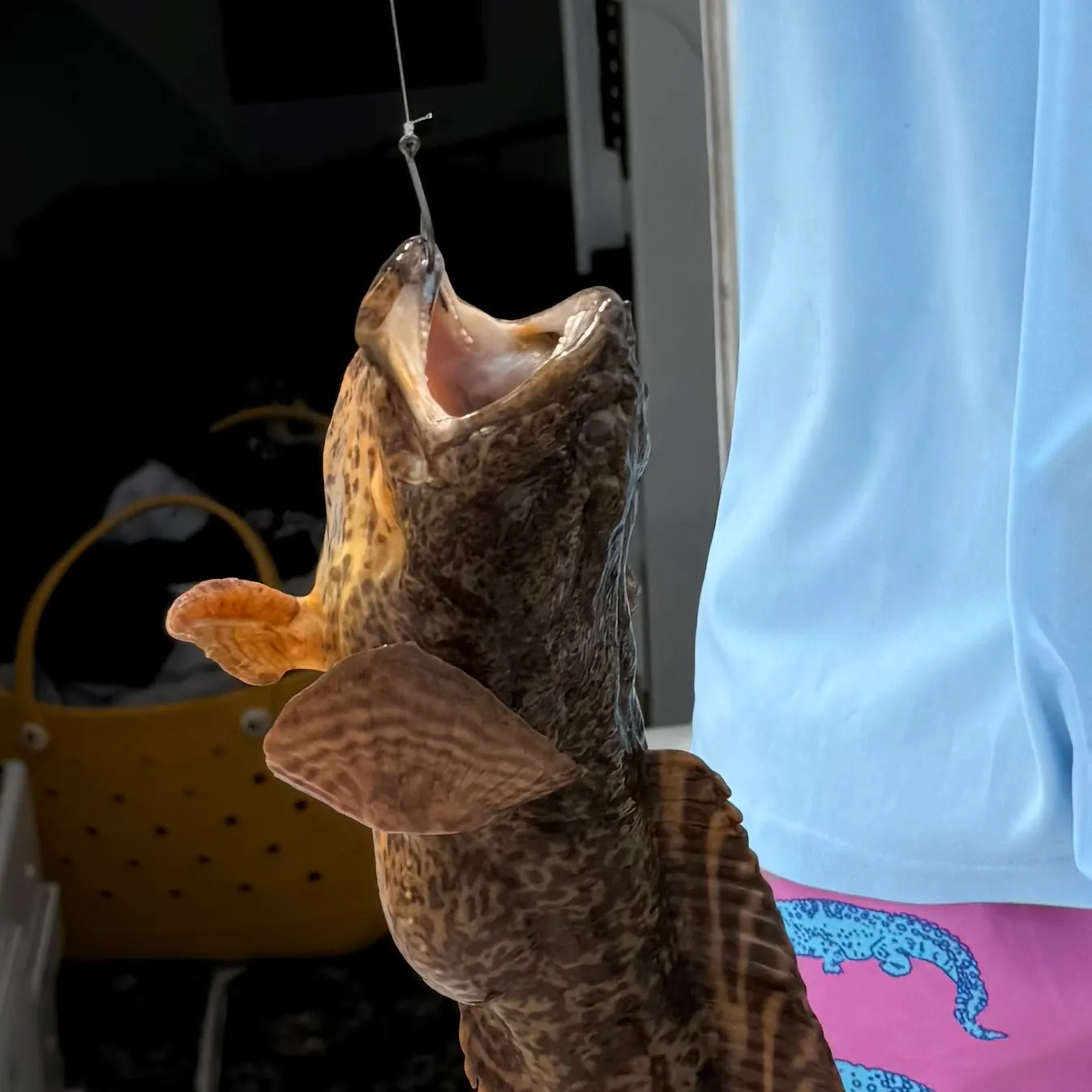 catch