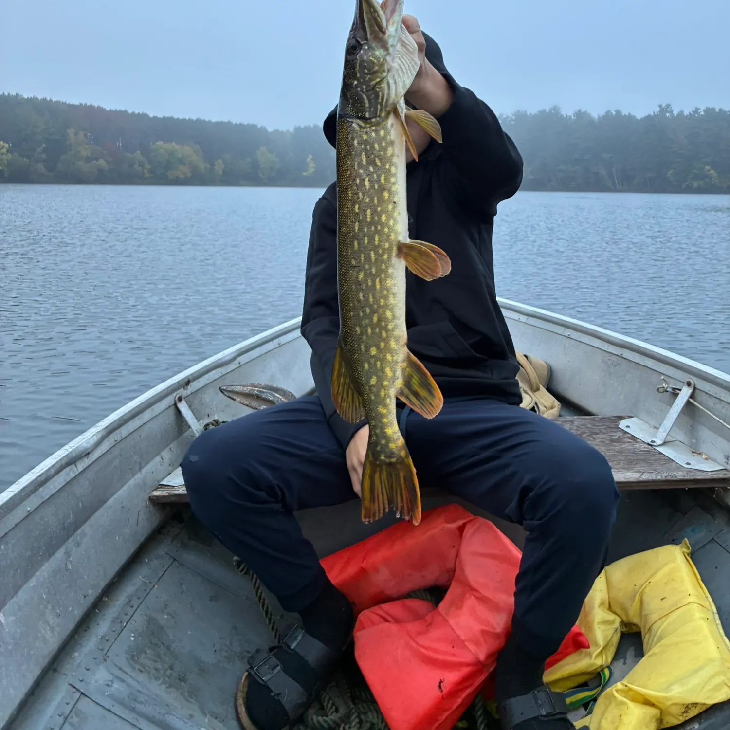 Northern pike caught on Fishbrain