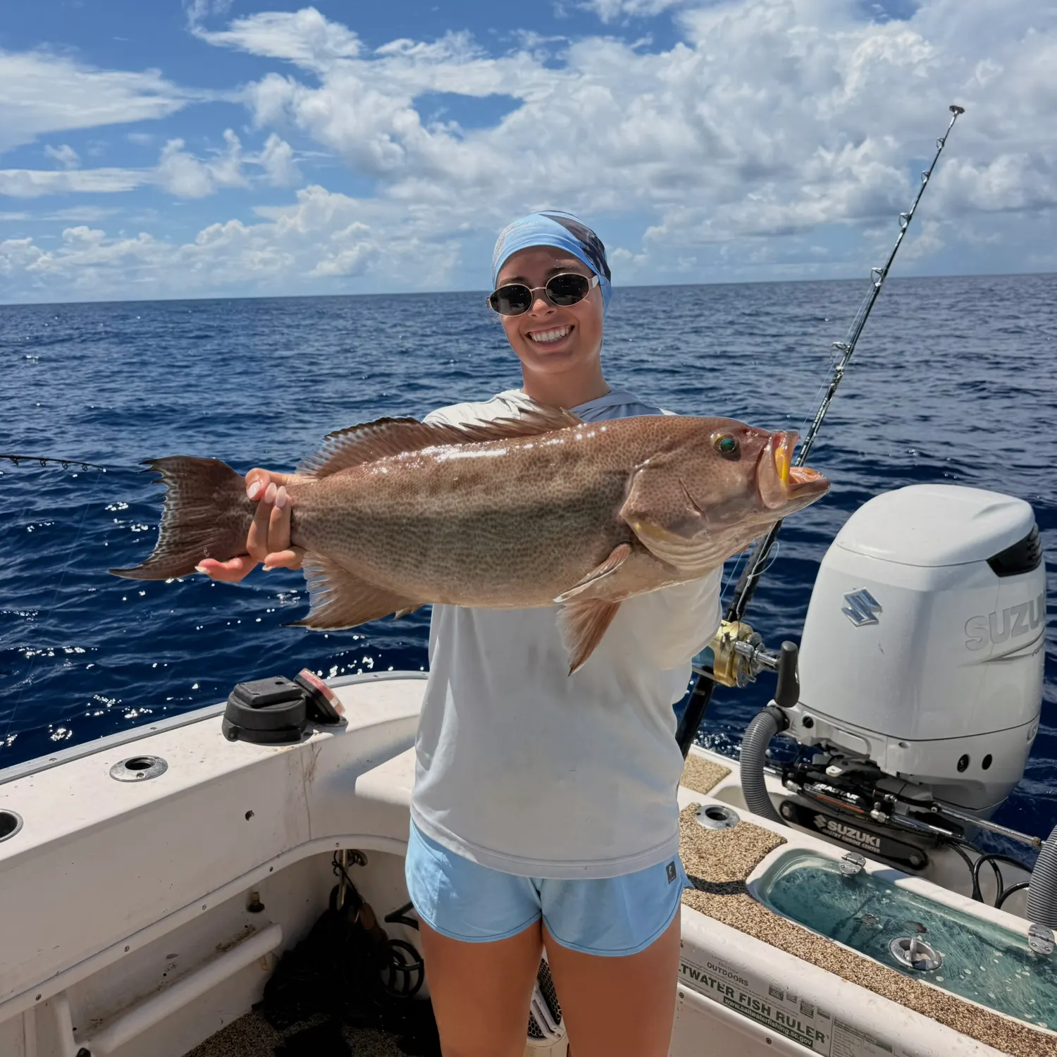 The most recent Scamp grouper catches on Fishbrain