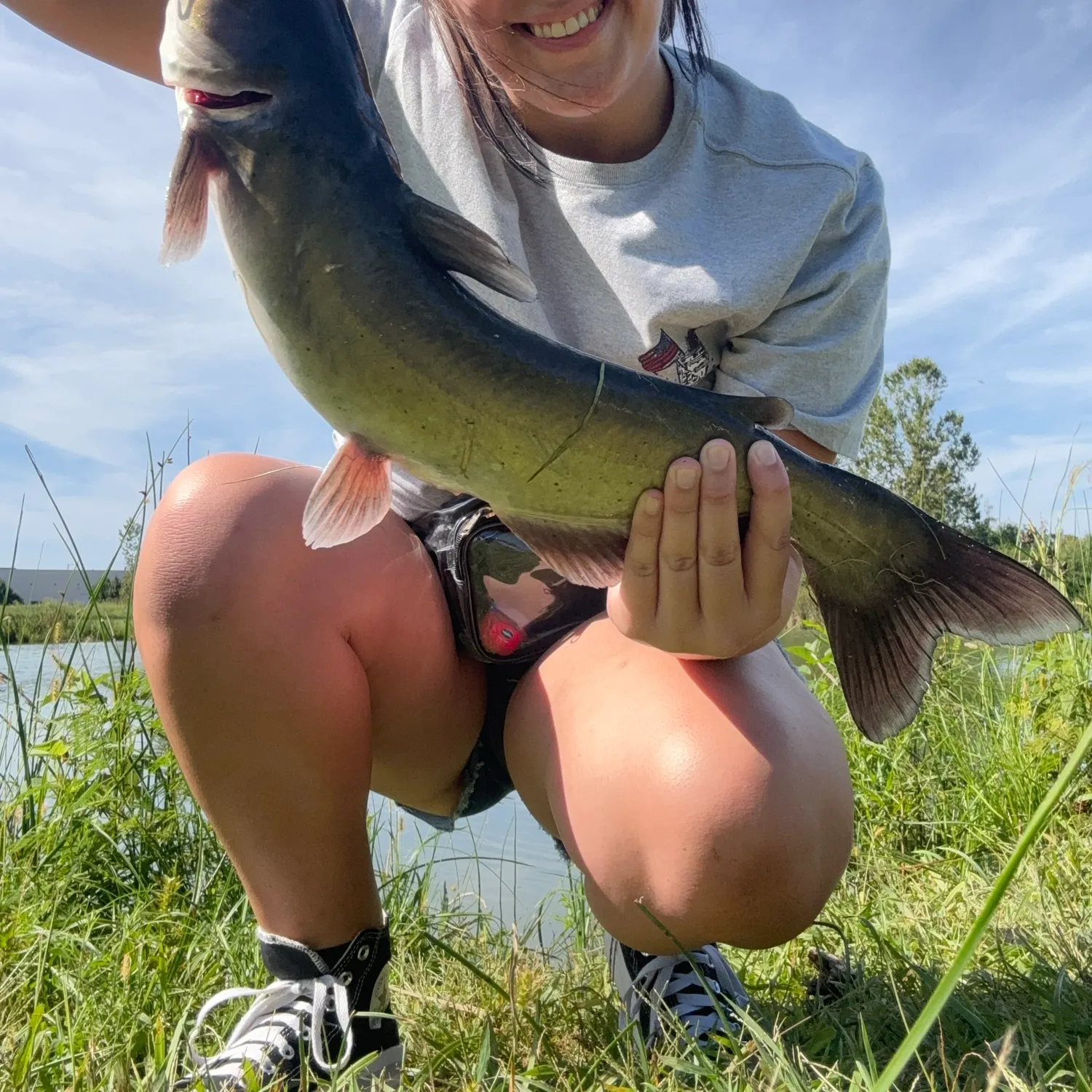 Channel catfish caught on Fishbrain