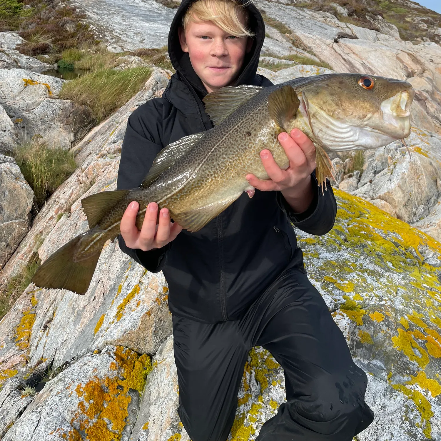 Atlantic cod caught on Fishbrain