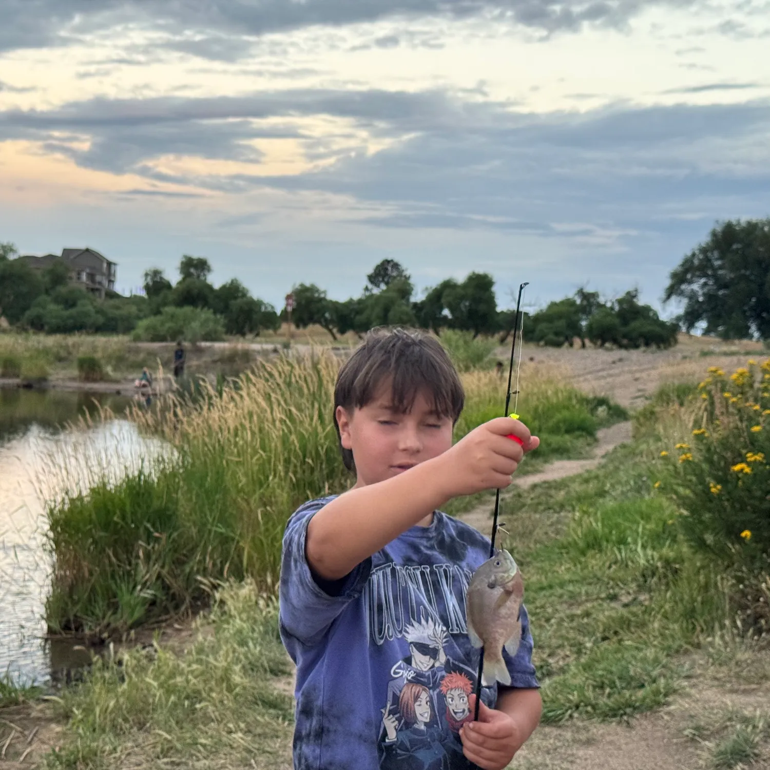 Black crappie caught on Fishbrain
