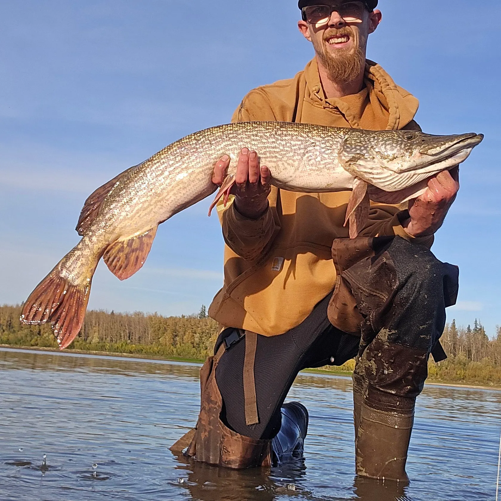 Northern pike caught on Fishbrain