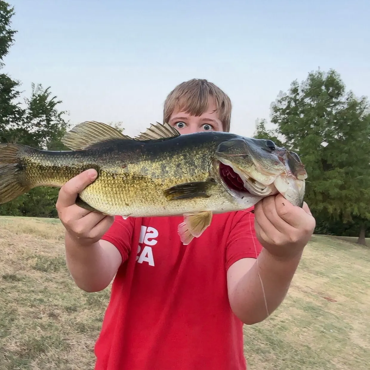 Largemouth bass caught on Fishbrain