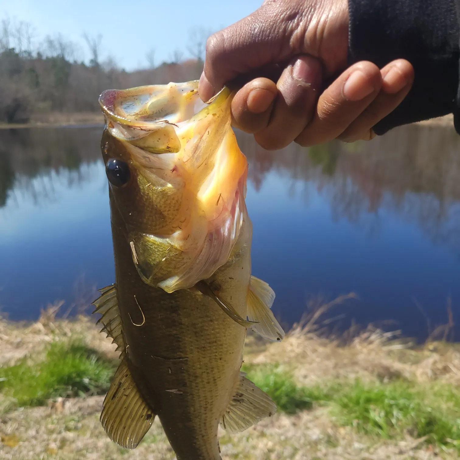 angler catch