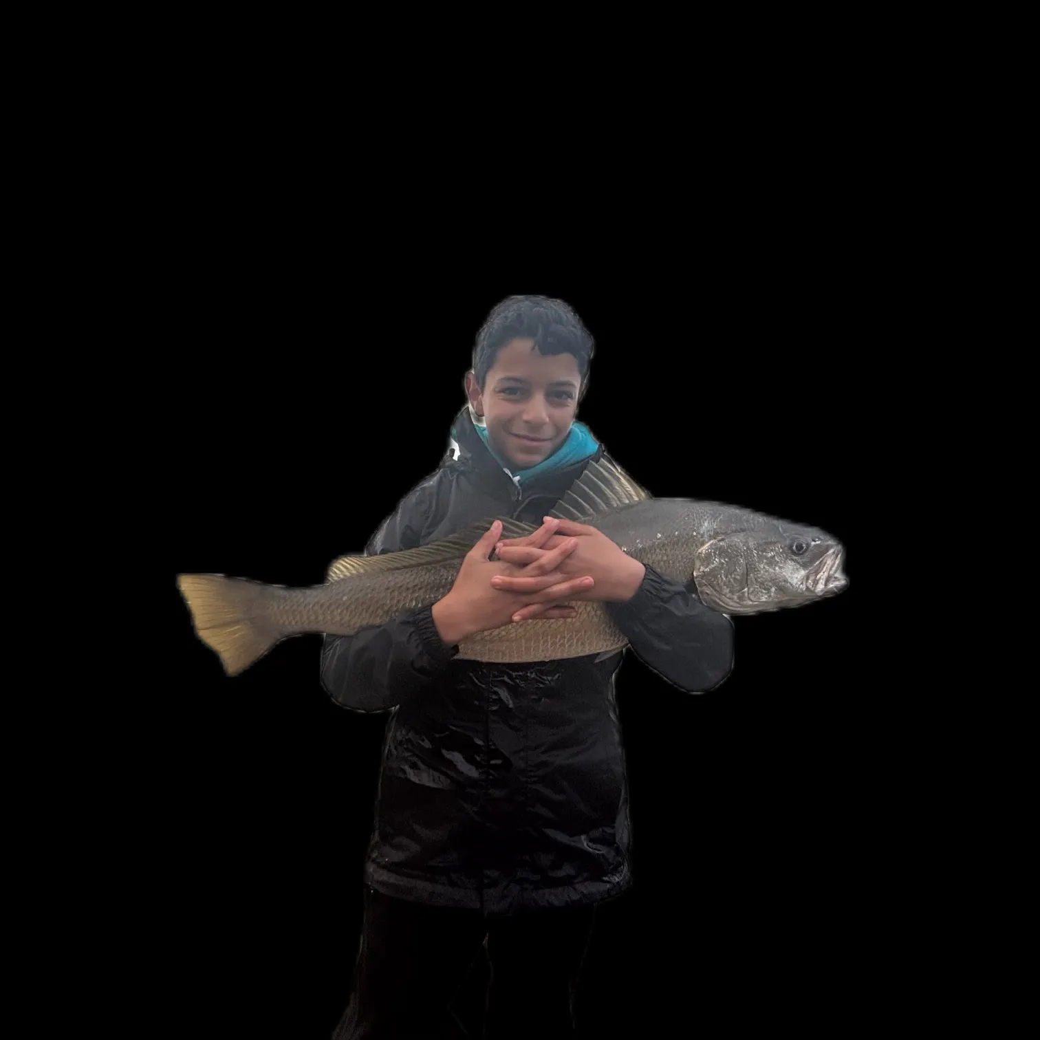 The most recent Japanese meagre catches on Fishbrain