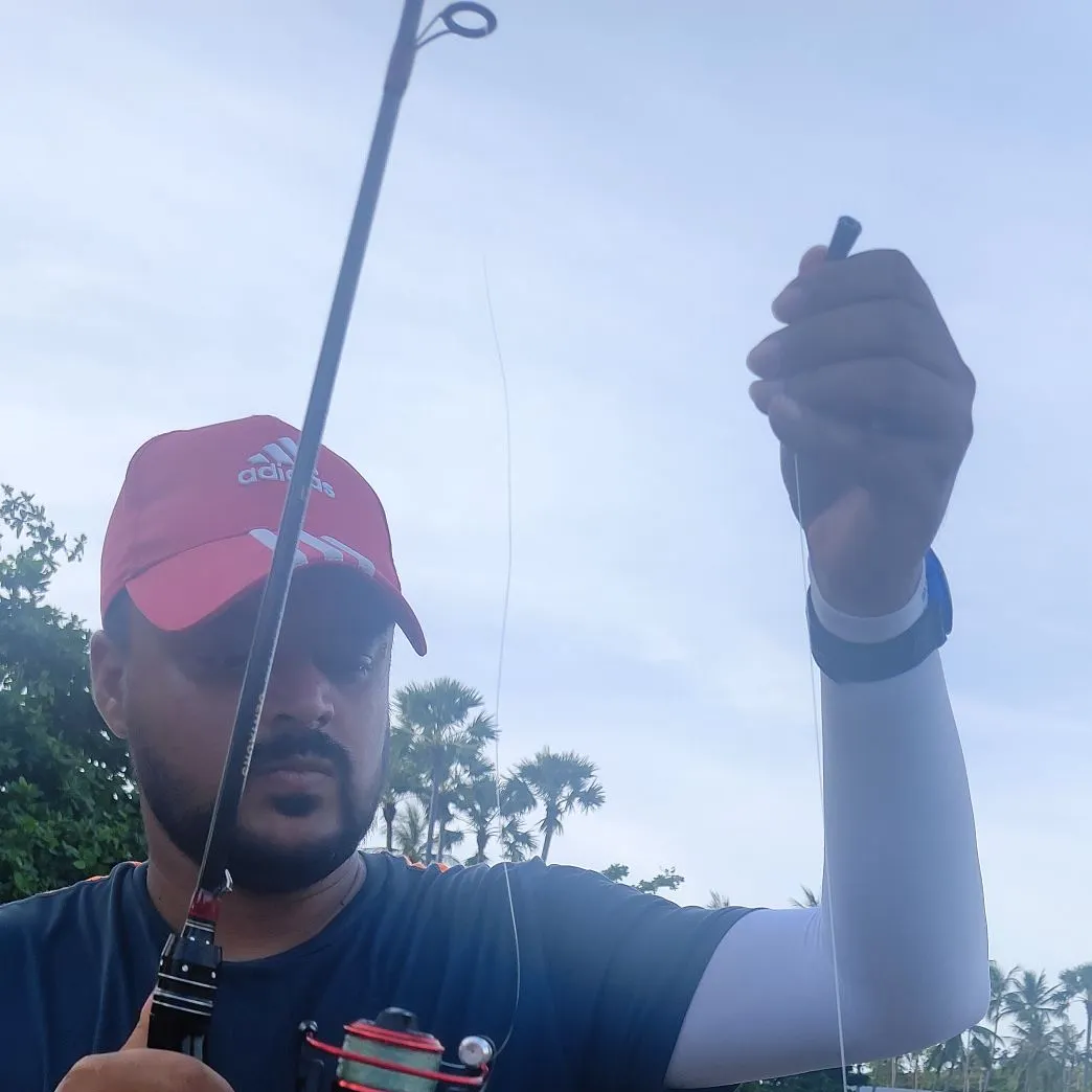 most liked catch image