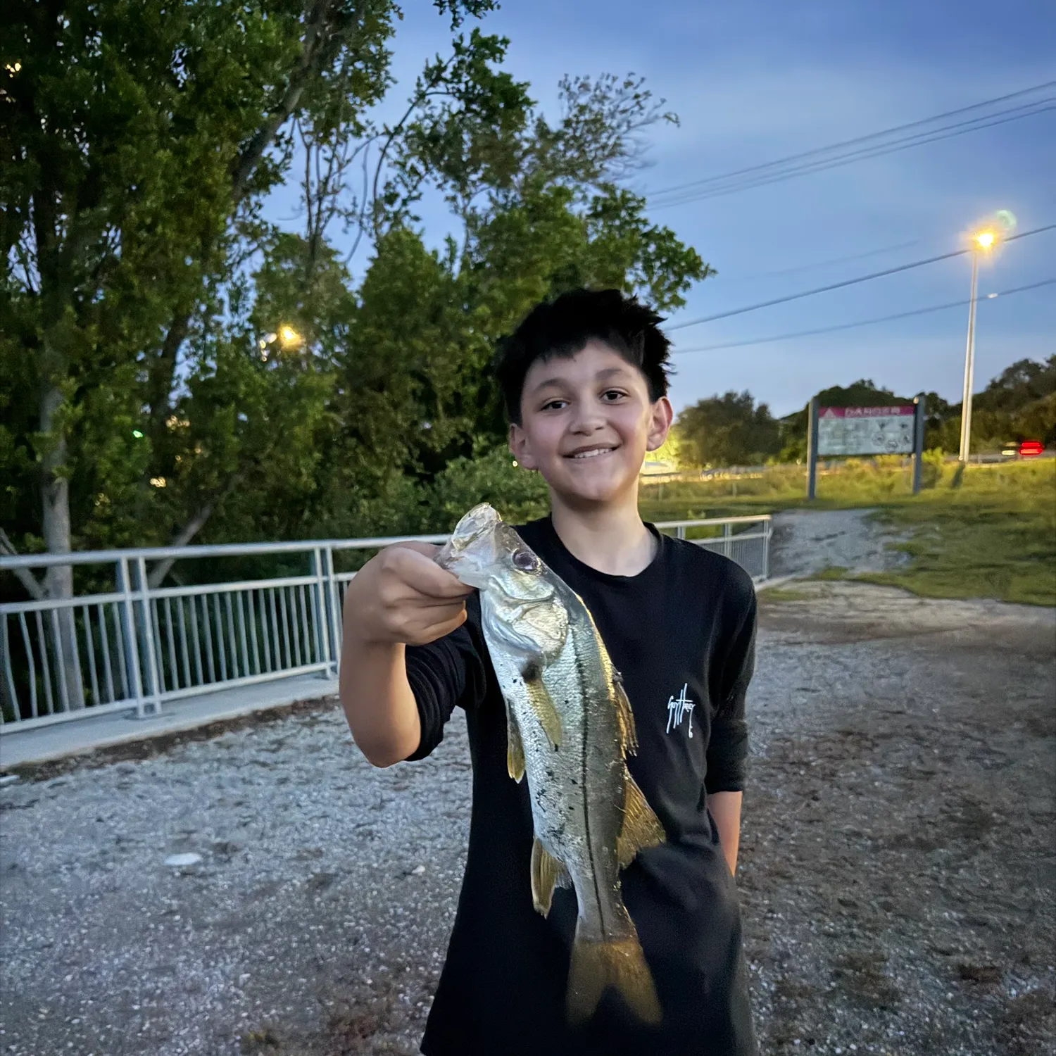 Common snook caught on Fishbrain