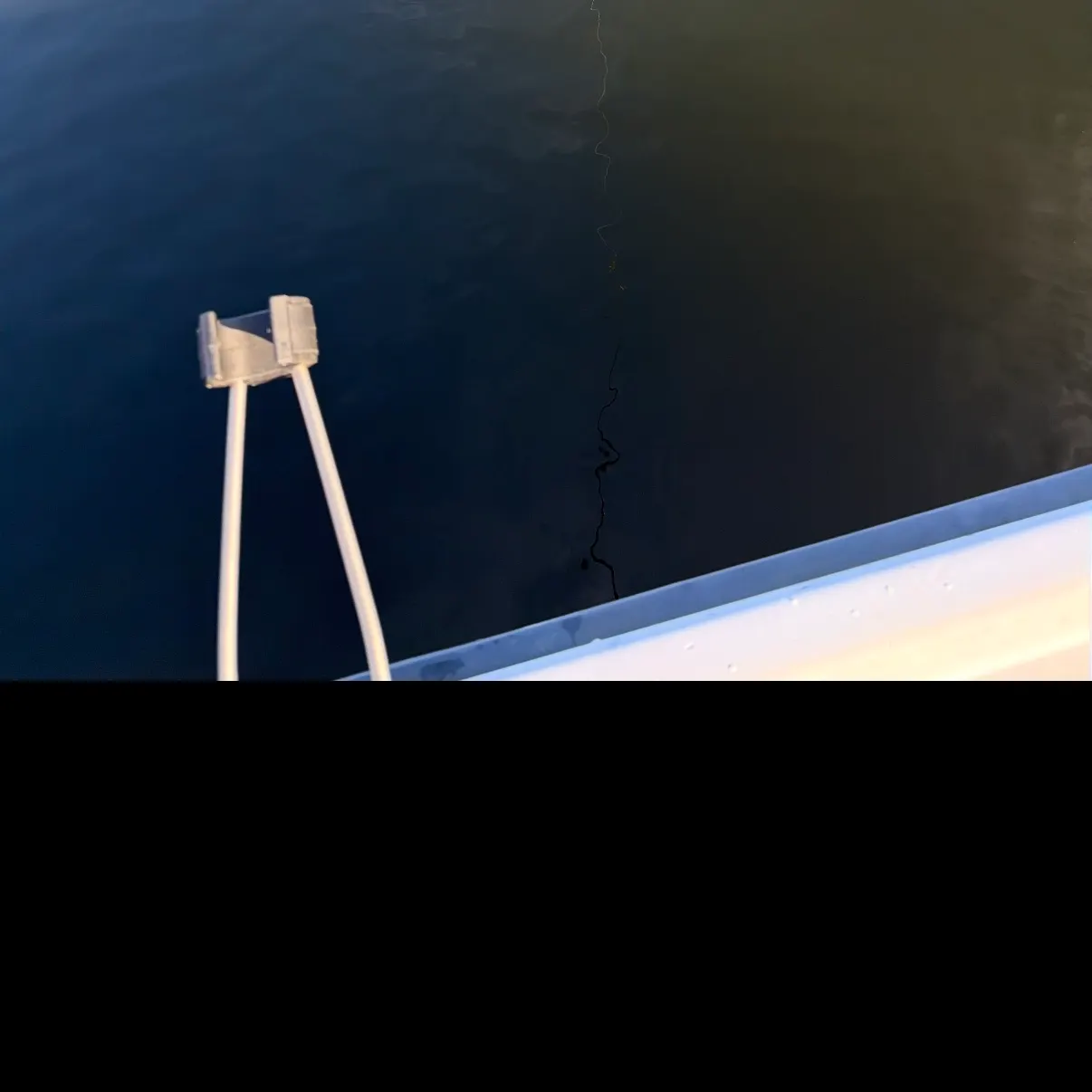 The most recent Asp catches on Fishbrain