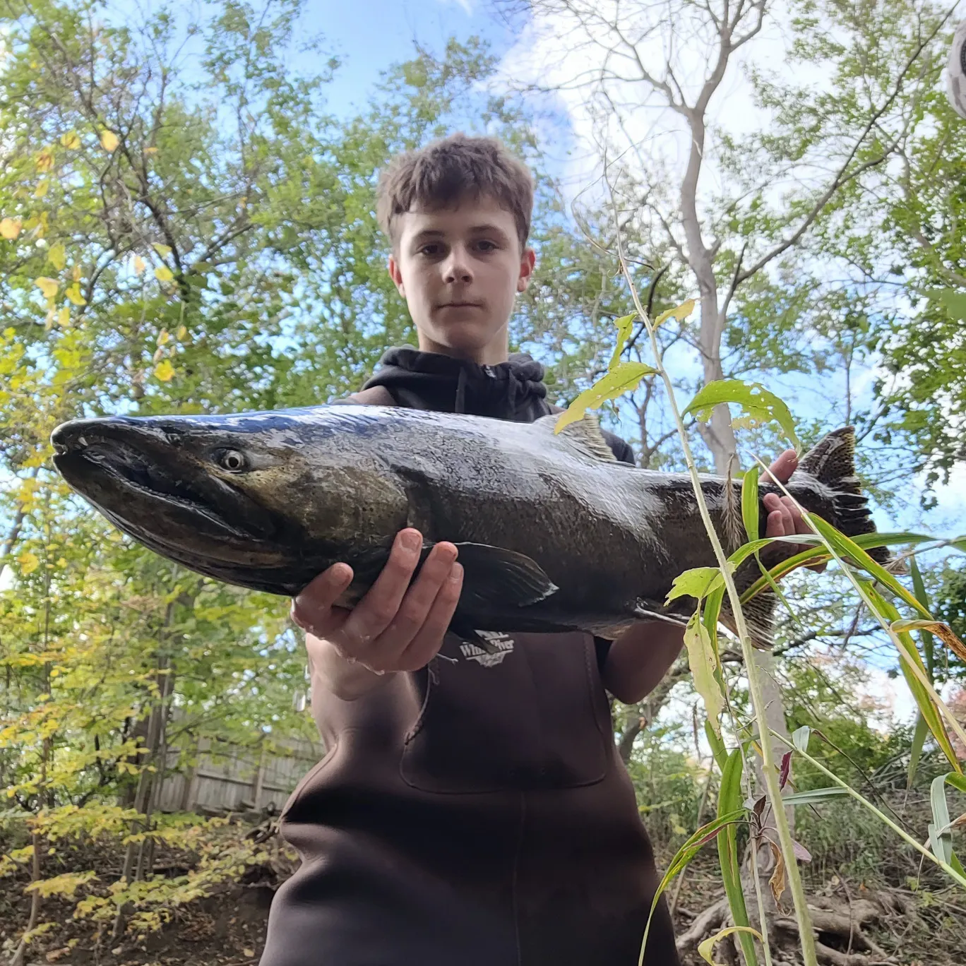 The most recent Chinook salmon catches on Fishbrain