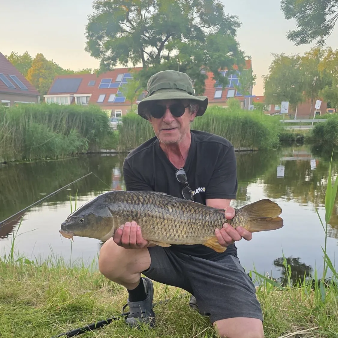 Common carp caught on Fishbrain