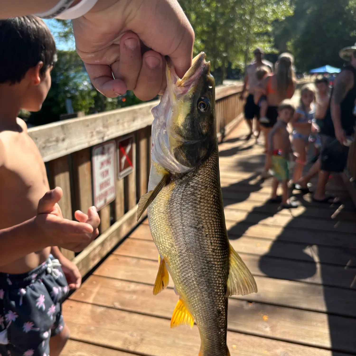 catch