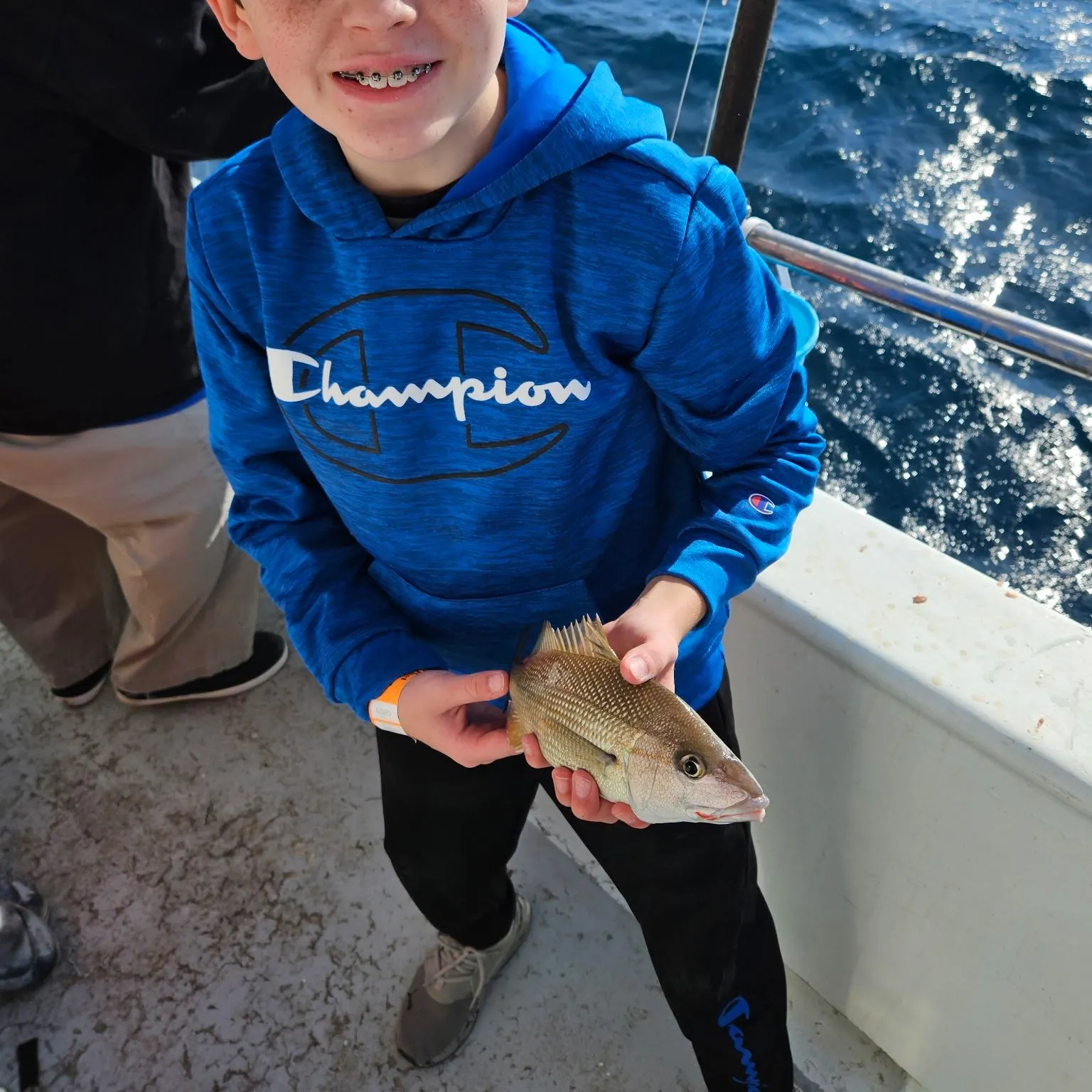 The most recent French grunt catches on Fishbrain