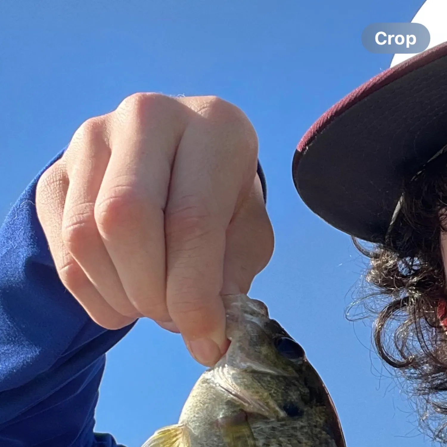 angler catch